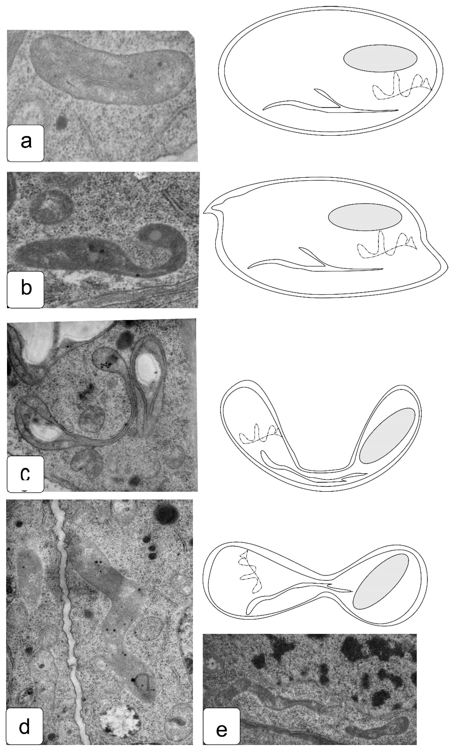Symmetry 13 01811 g010 550