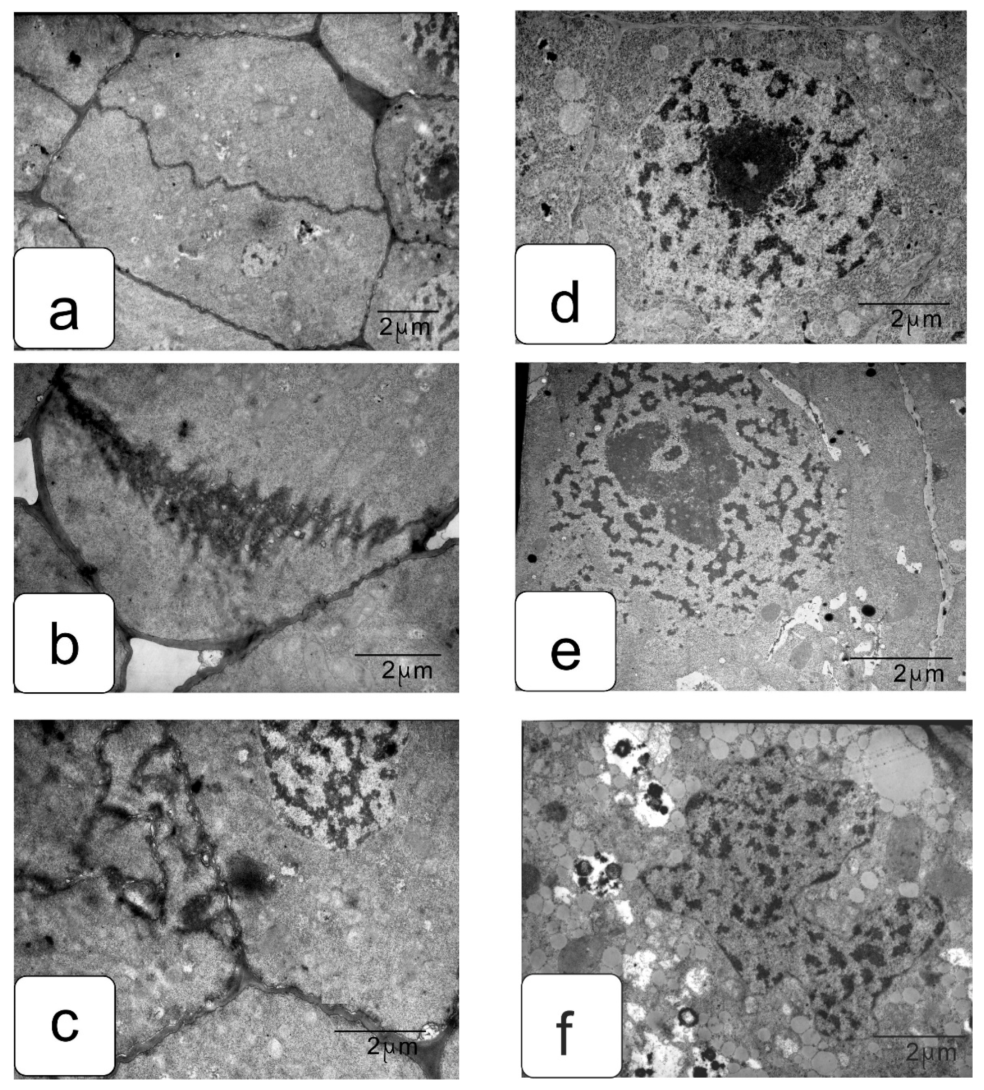 Symmetry 13 01811 g014 550