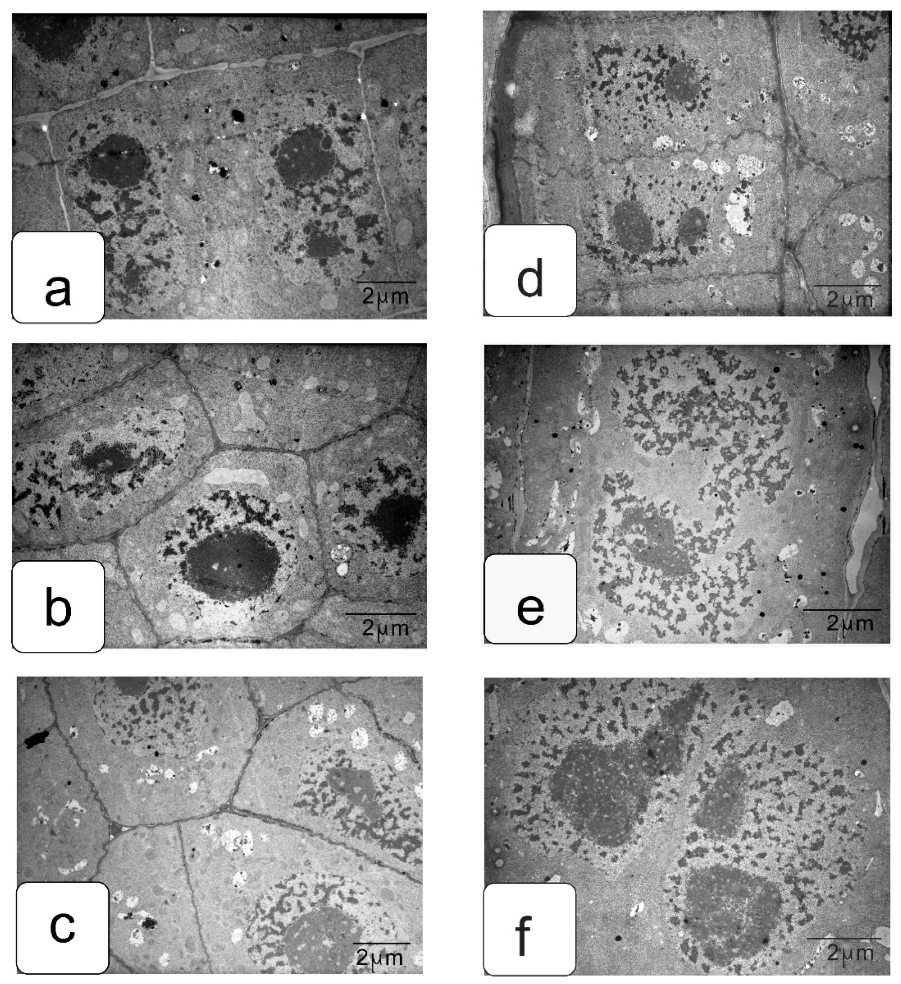 Symmetry 13 01811 g015 550