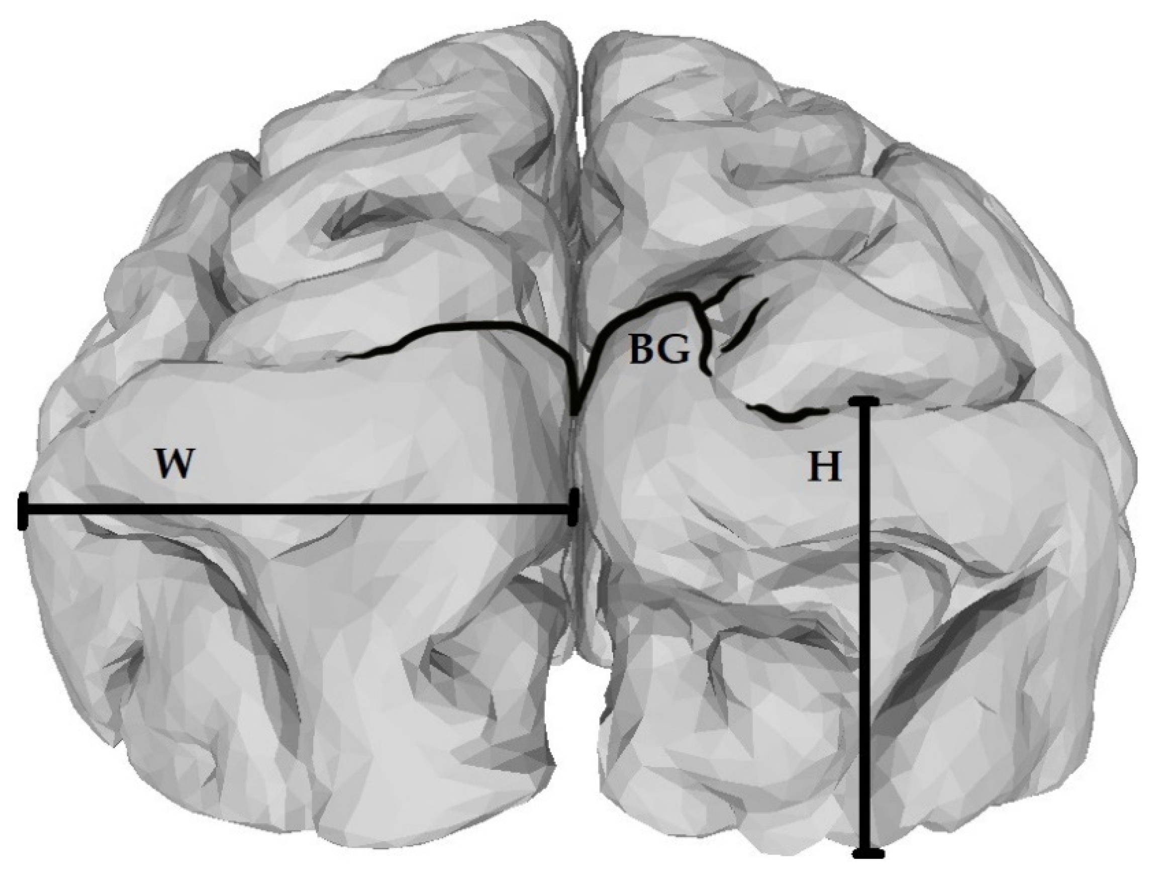 Symmetry 13 01862 g001 550