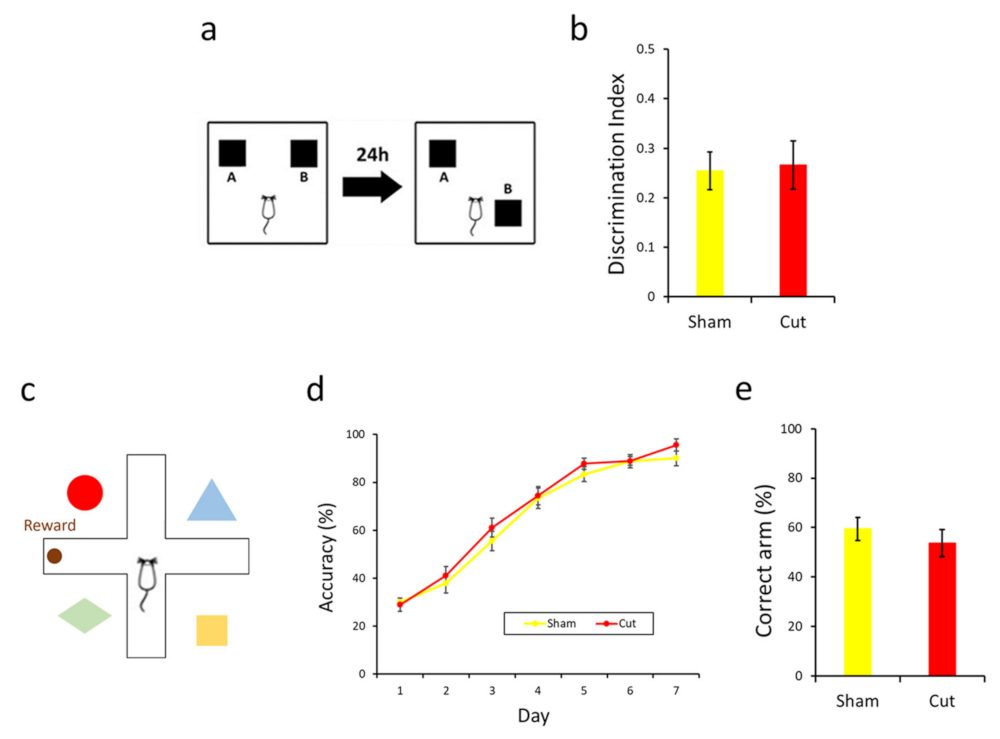 Symmetry 13 01872 g003