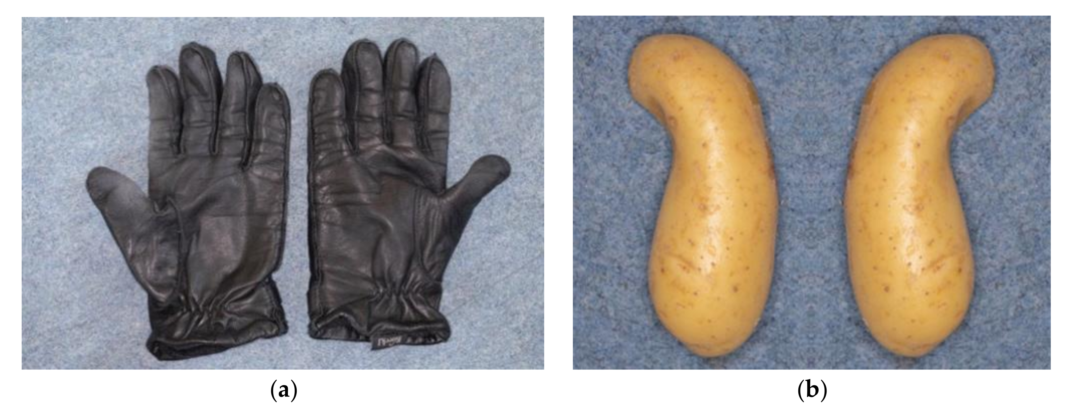 Symmetry 13 01891 g013 Symmetry 13 01891 g013