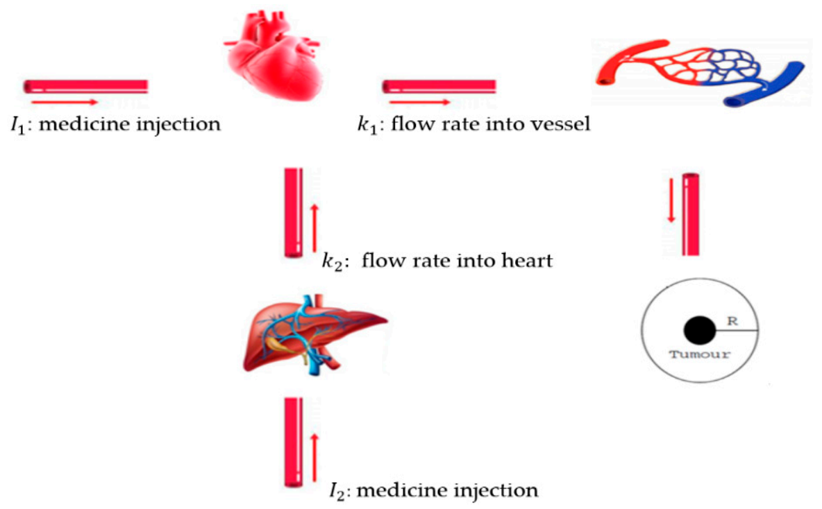 Symmetry 13 01988 g001