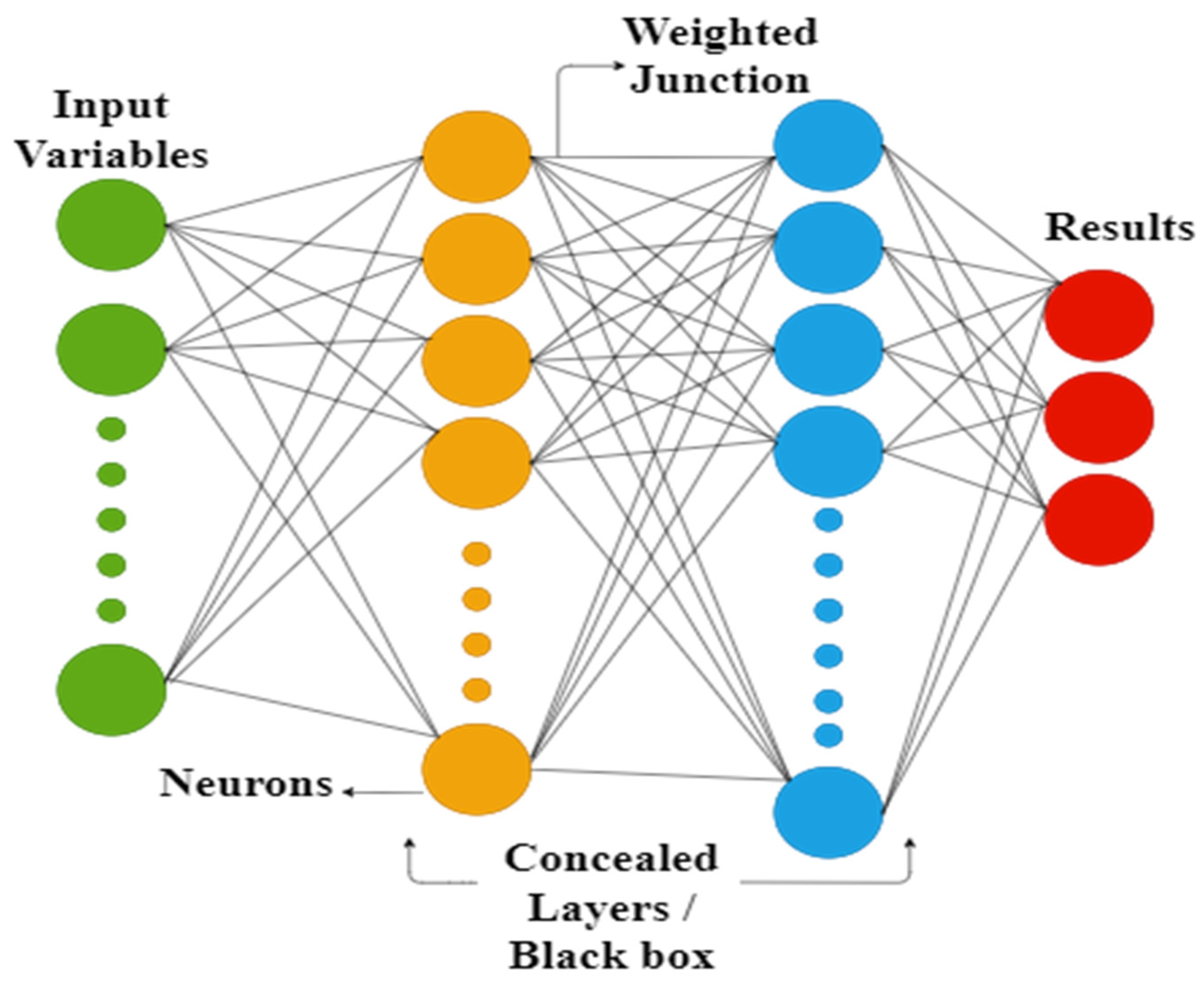 Symmetry 13 02009 g002