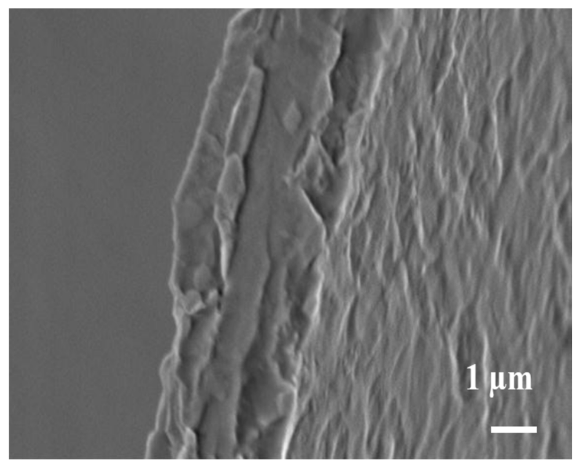 Symmetry 13 02081 g010