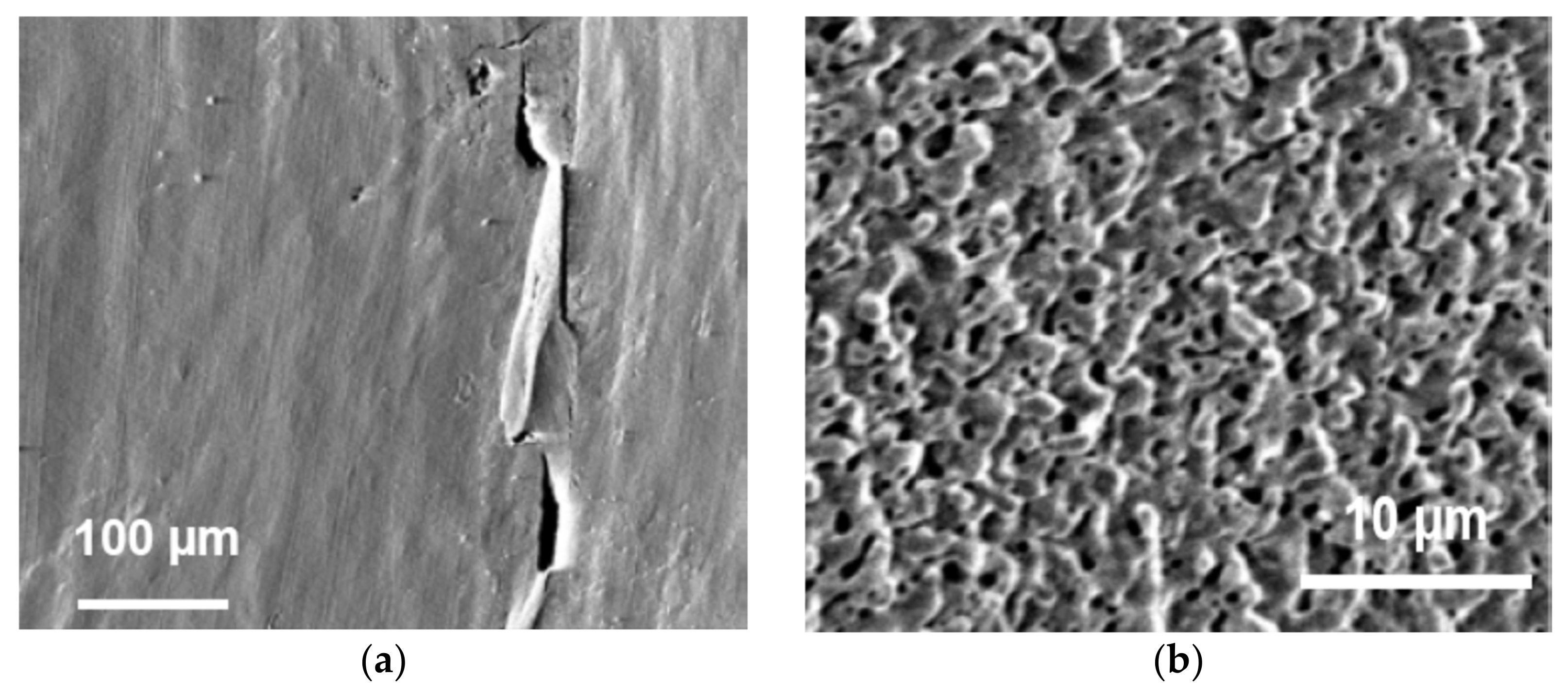 Symmetry 13 02081 g011