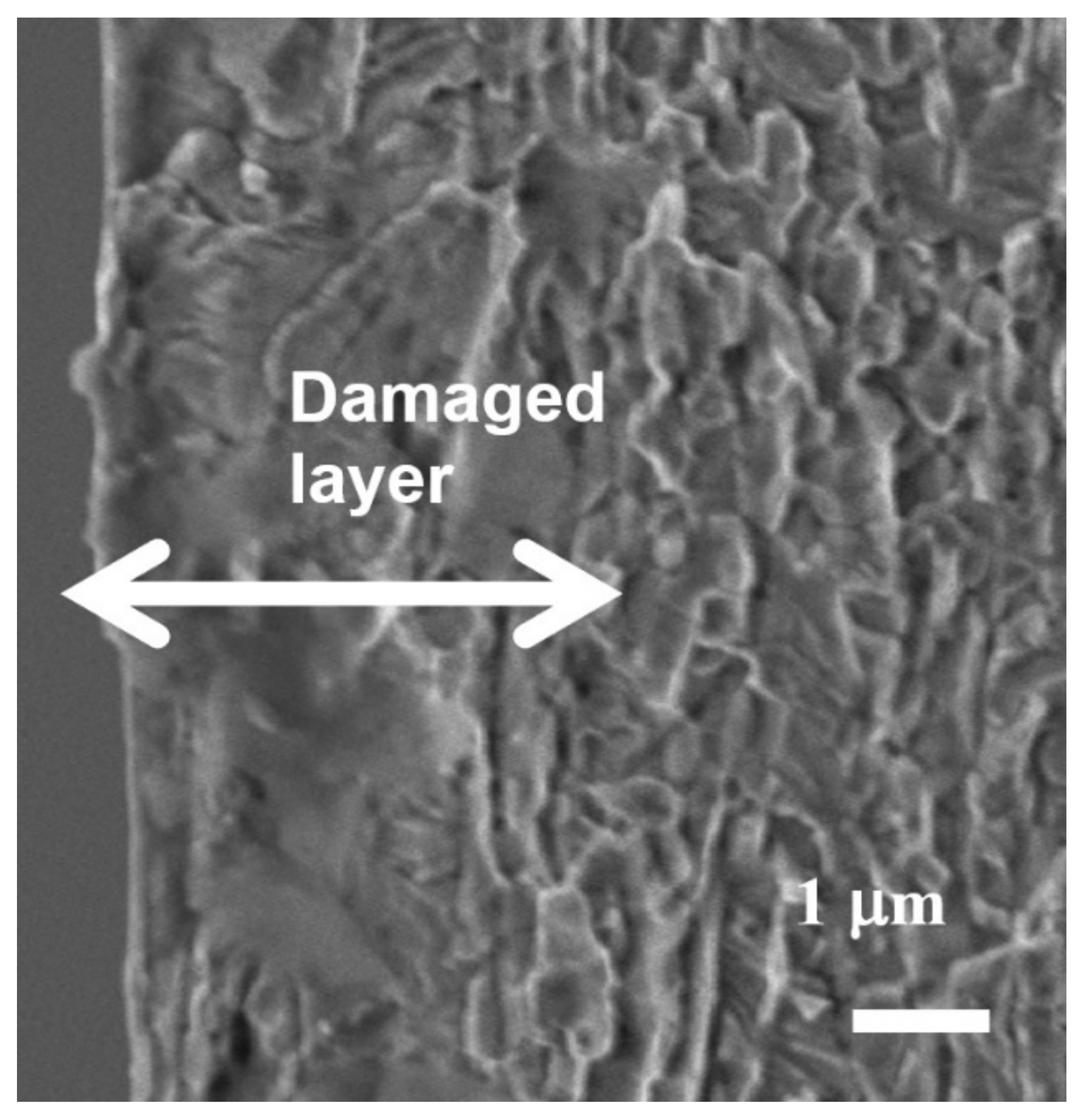 Symmetry 13 02081 g012
