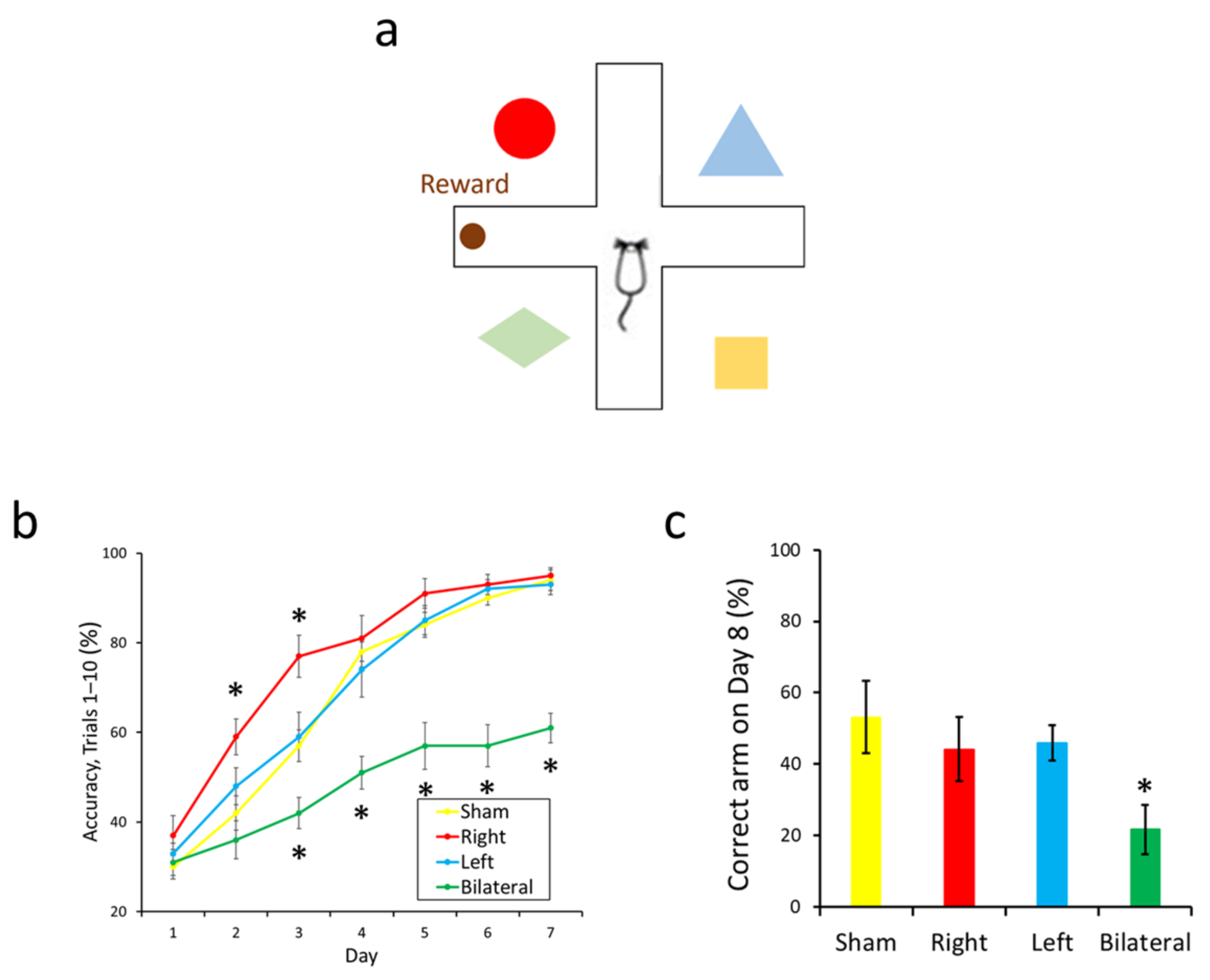 Symmetry 13 02138 g003