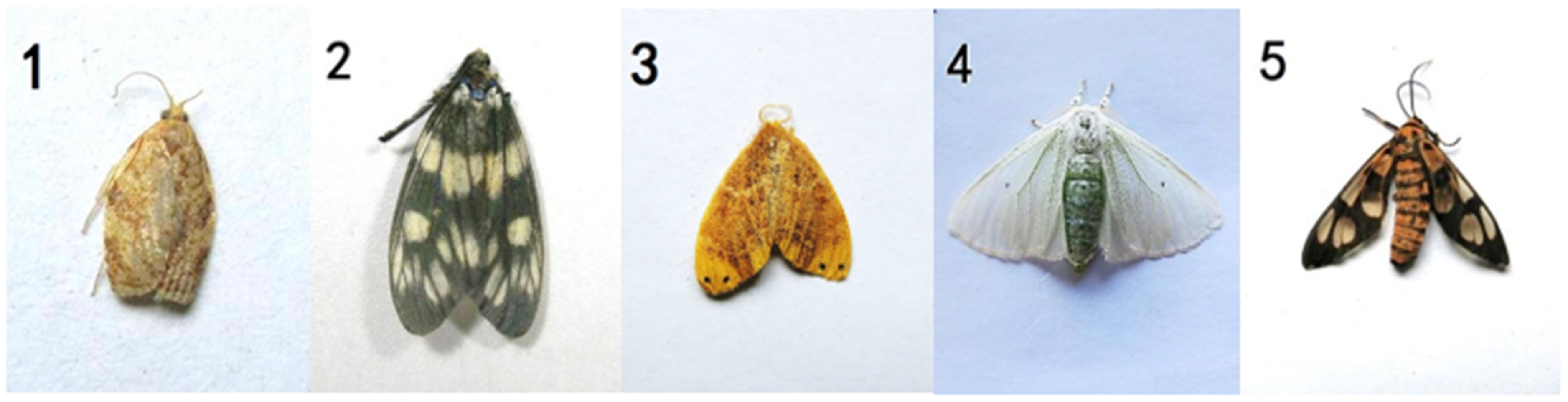 Symmetry 13 02140 g001a 550