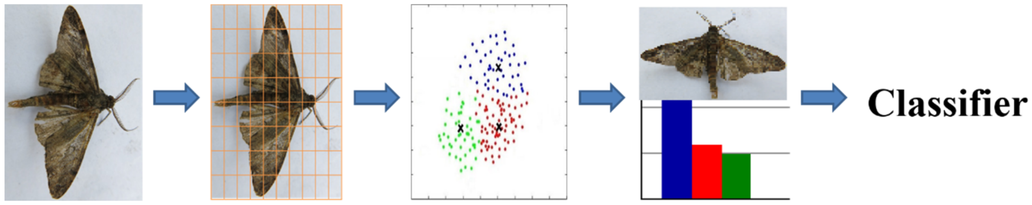 Symmetry 13 02140 g004 550