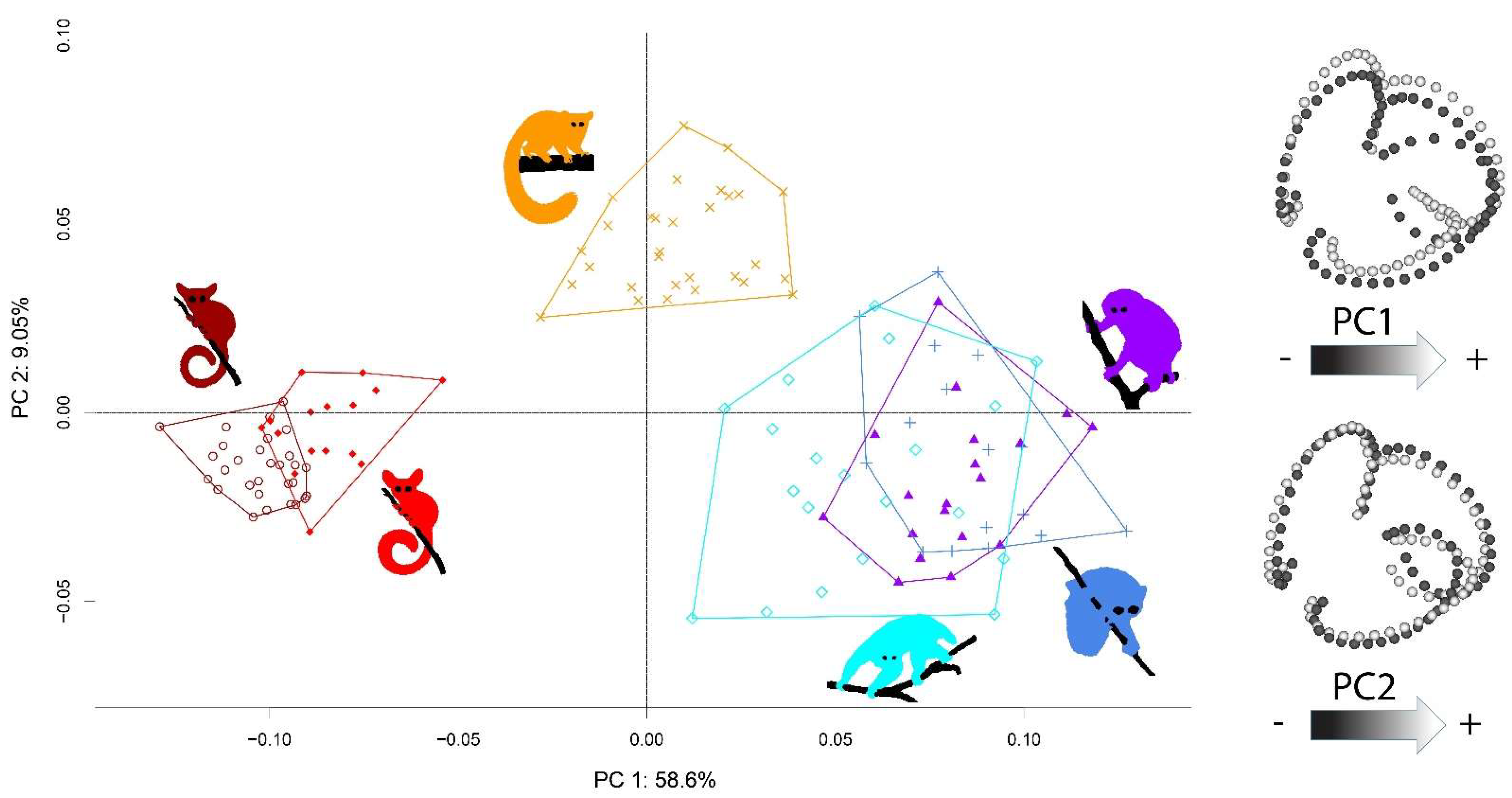 Symmetry 13 02305 g003