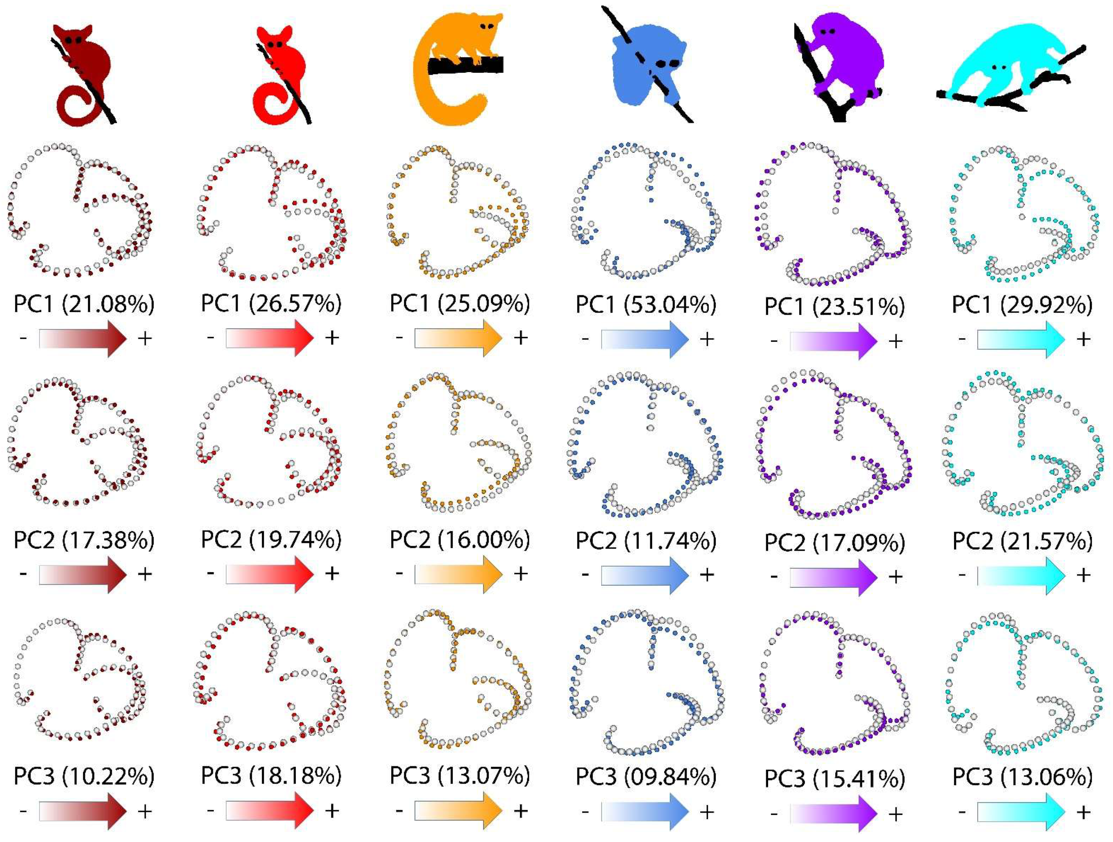 Symmetry 13 02305 g004