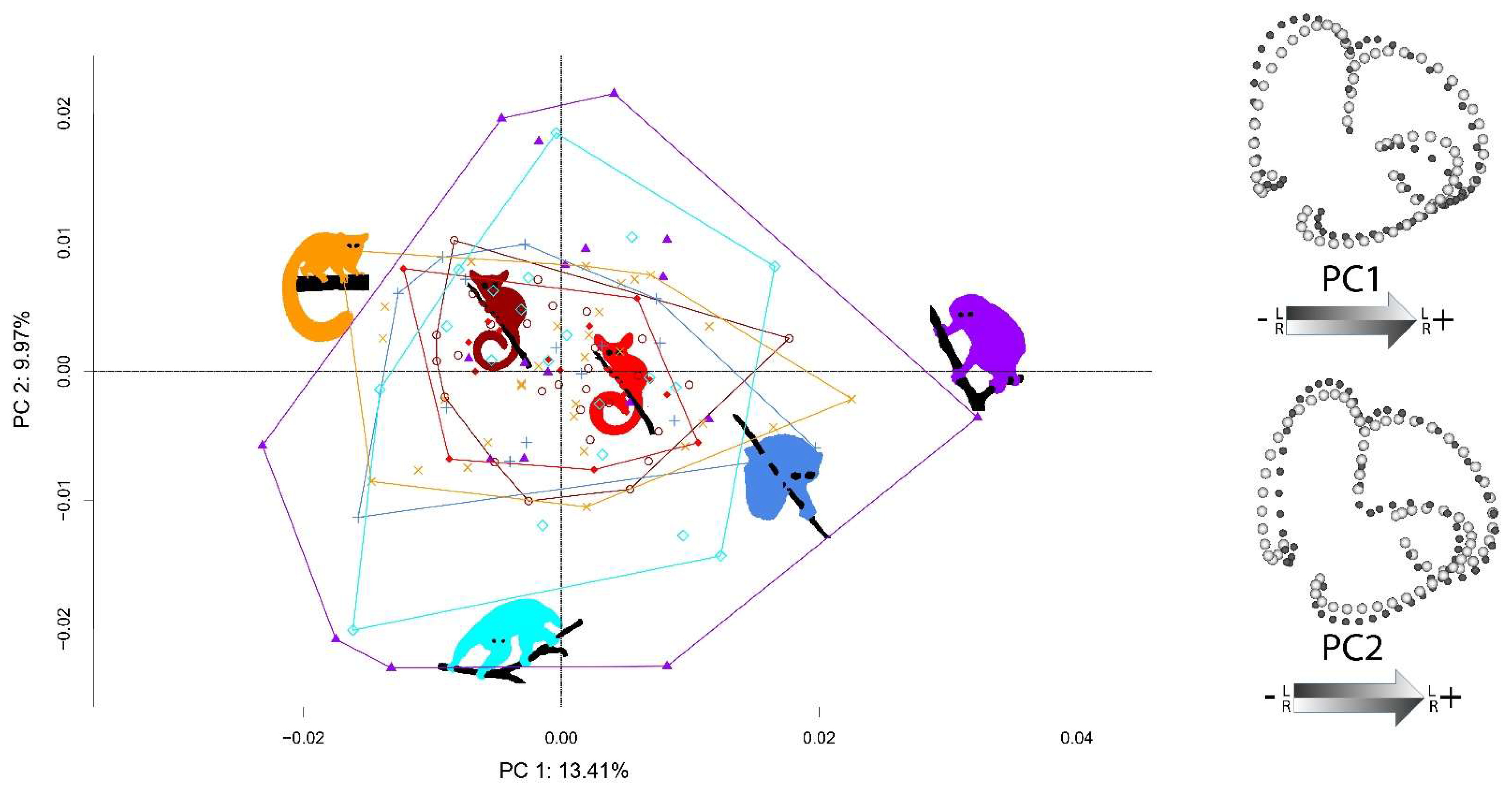 Symmetry 13 02305 g006