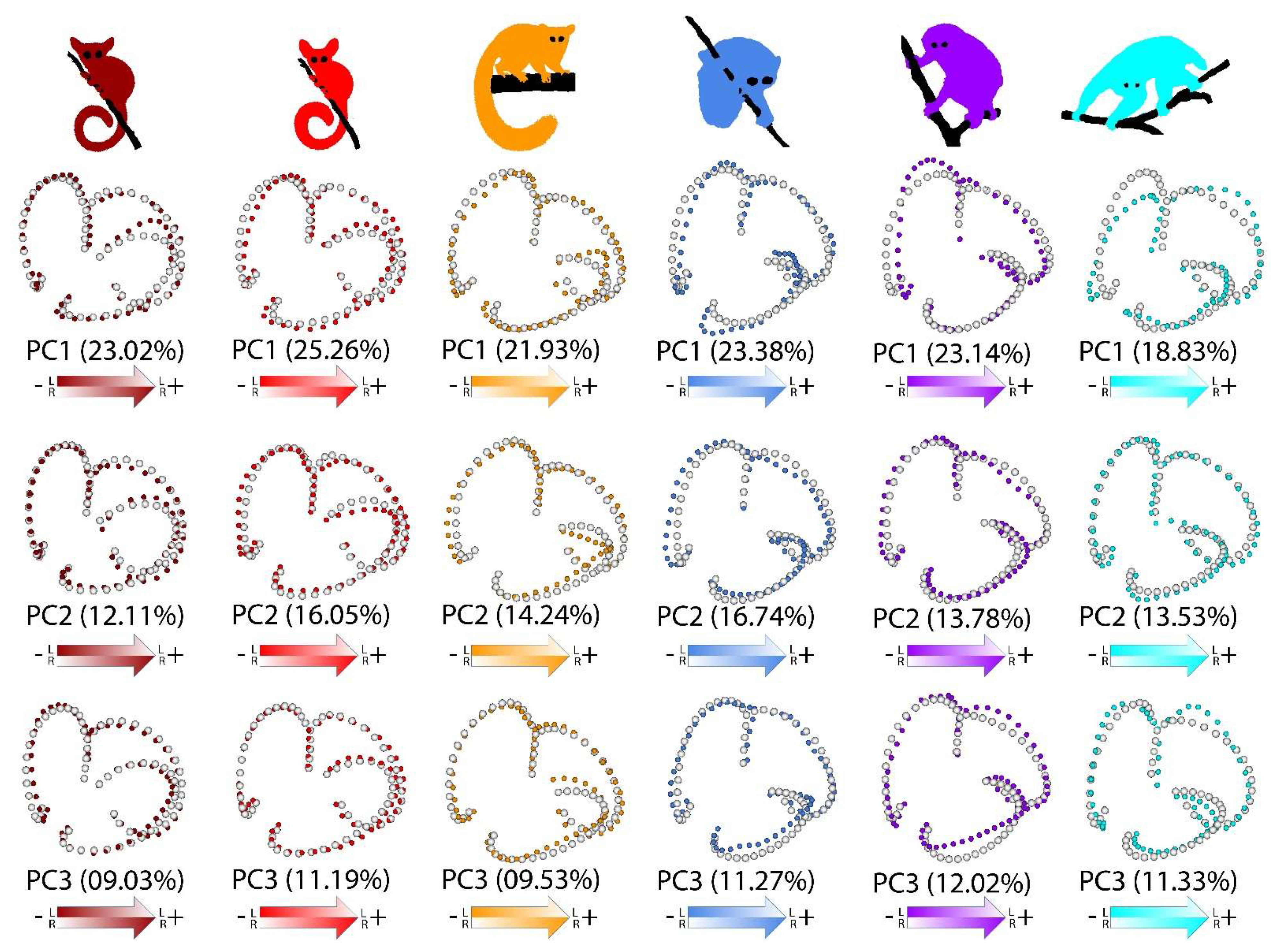 Symmetry 13 02305 g007