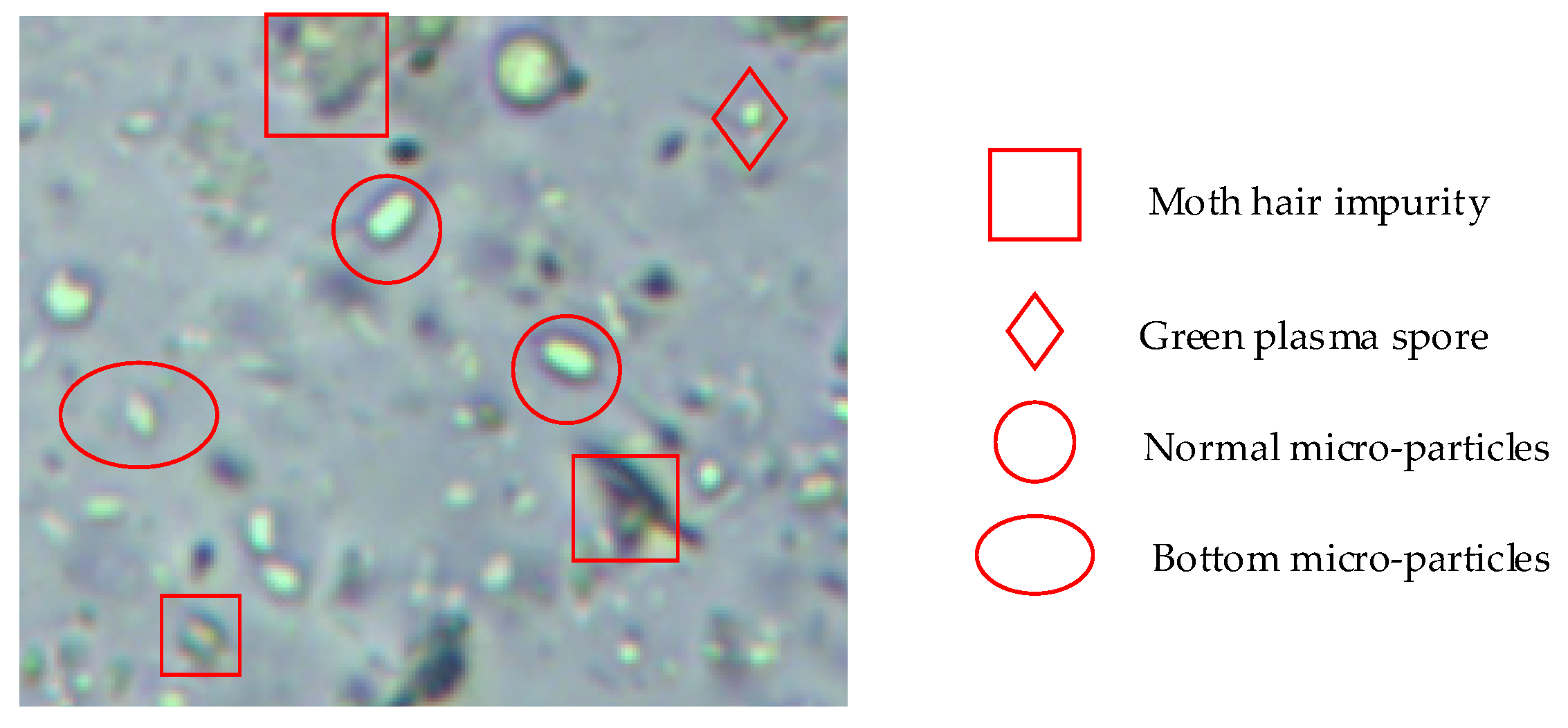 Symmetry 13 02325 g001