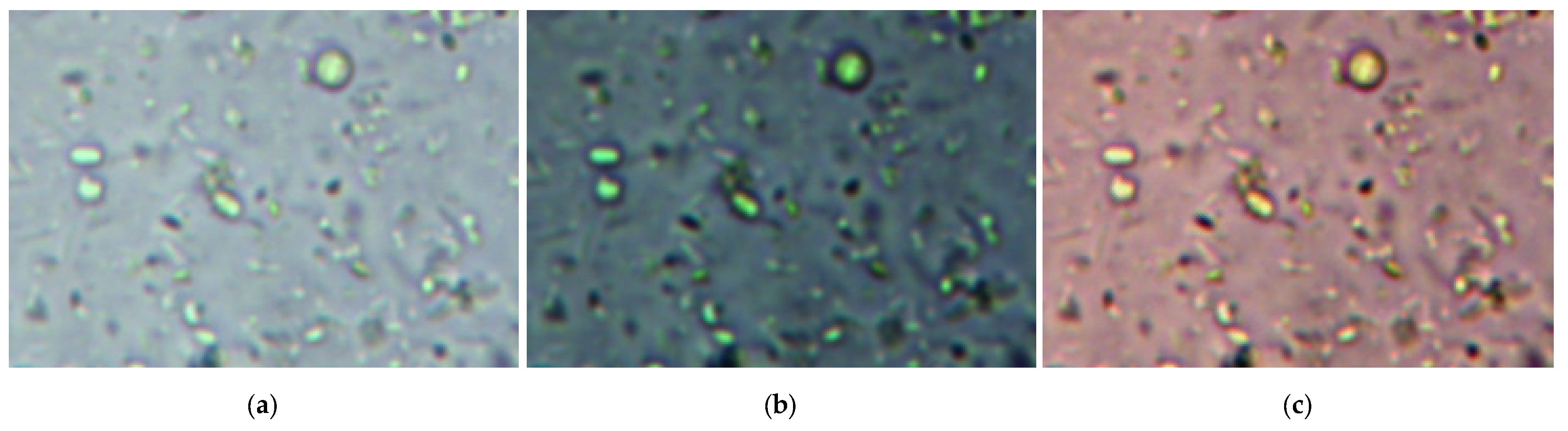 Symmetry 13 02325 g003