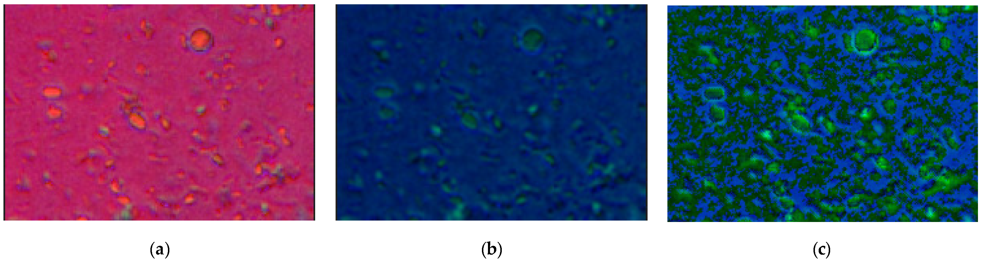 Symmetry 13 02325 g004