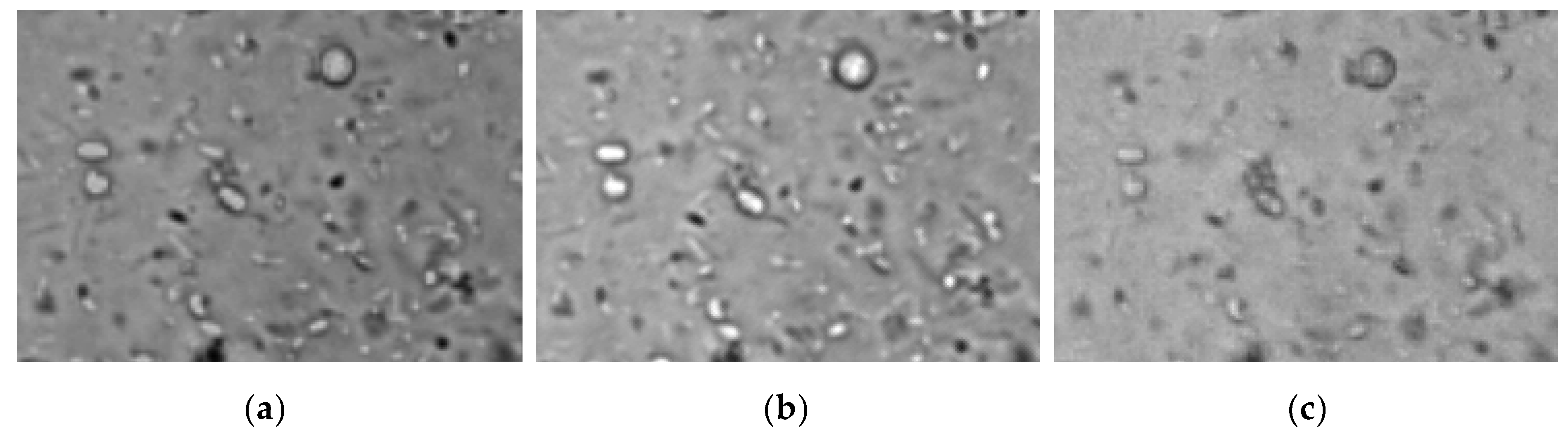 Symmetry 13 02325 g007