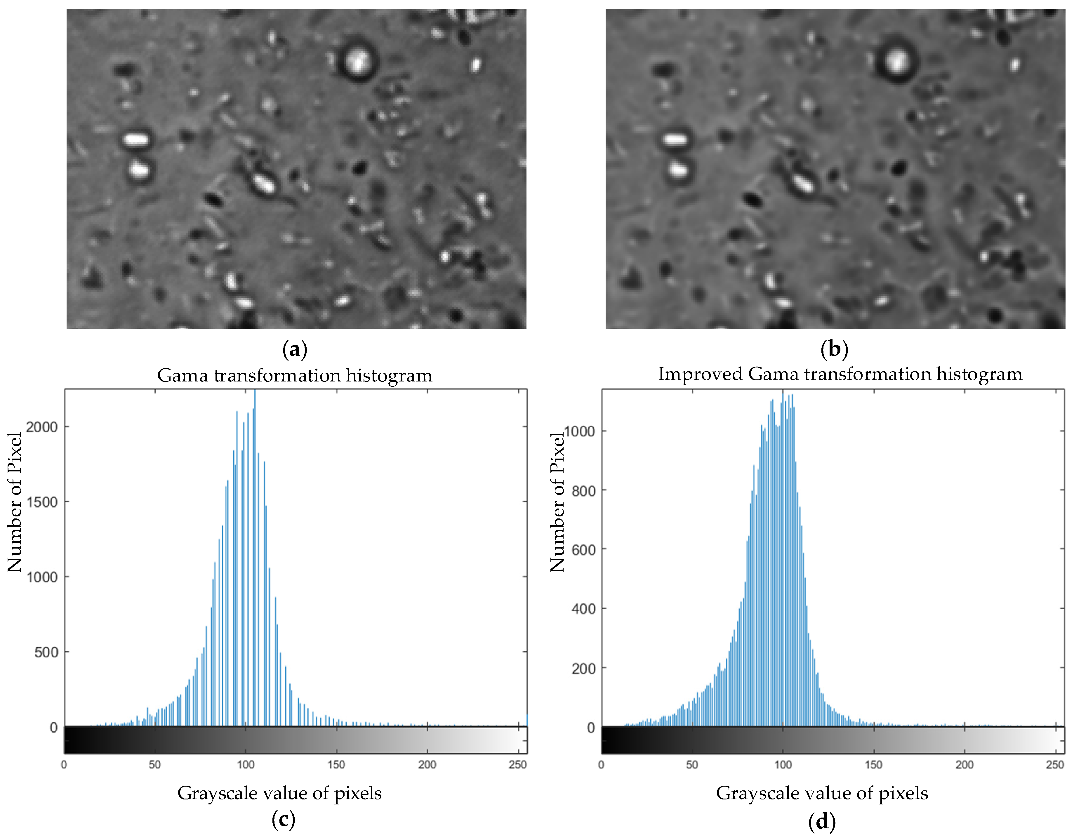 Symmetry 13 02325 g008