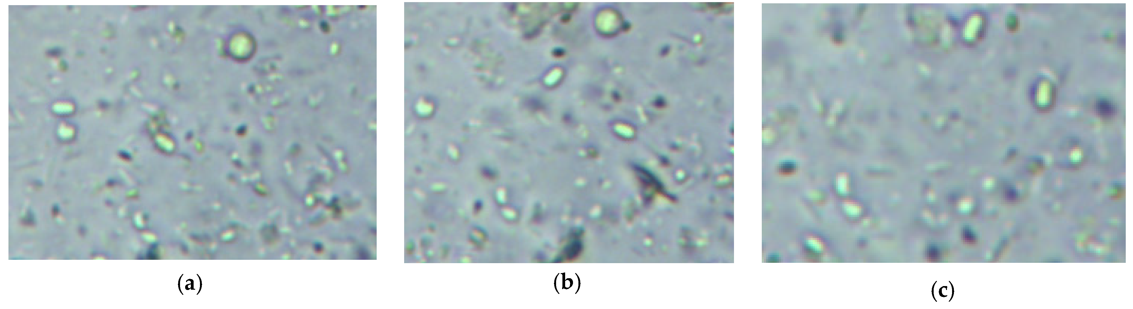 Symmetry 13 02325 g009