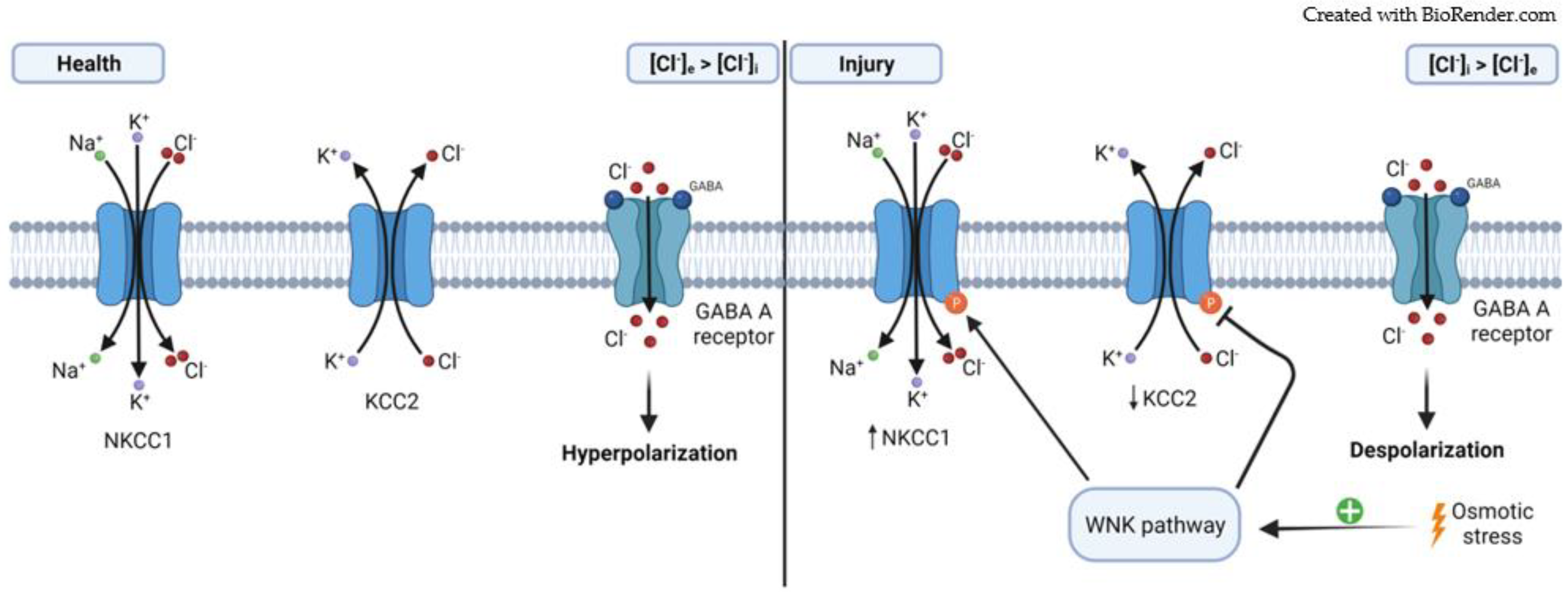 Symmetry 13 02333 g002
