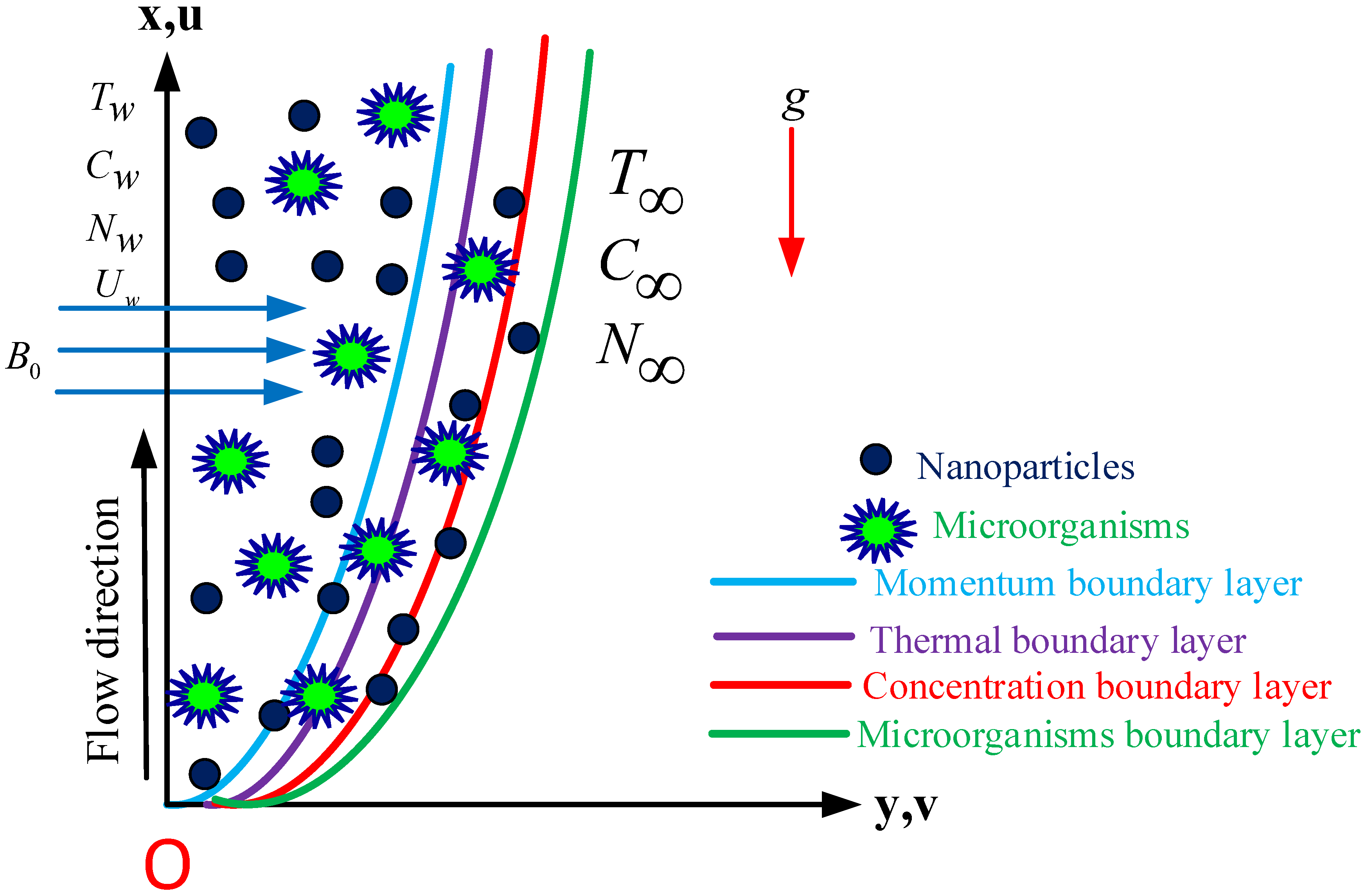 Symmetry 13 02334 g001