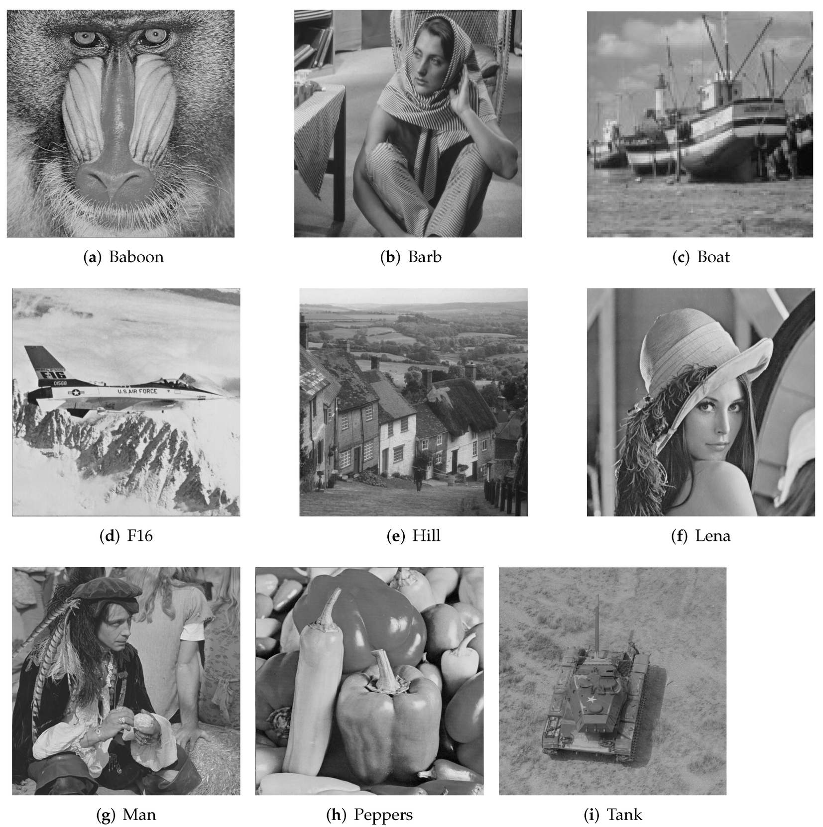 Symmetry 13 02338 g007