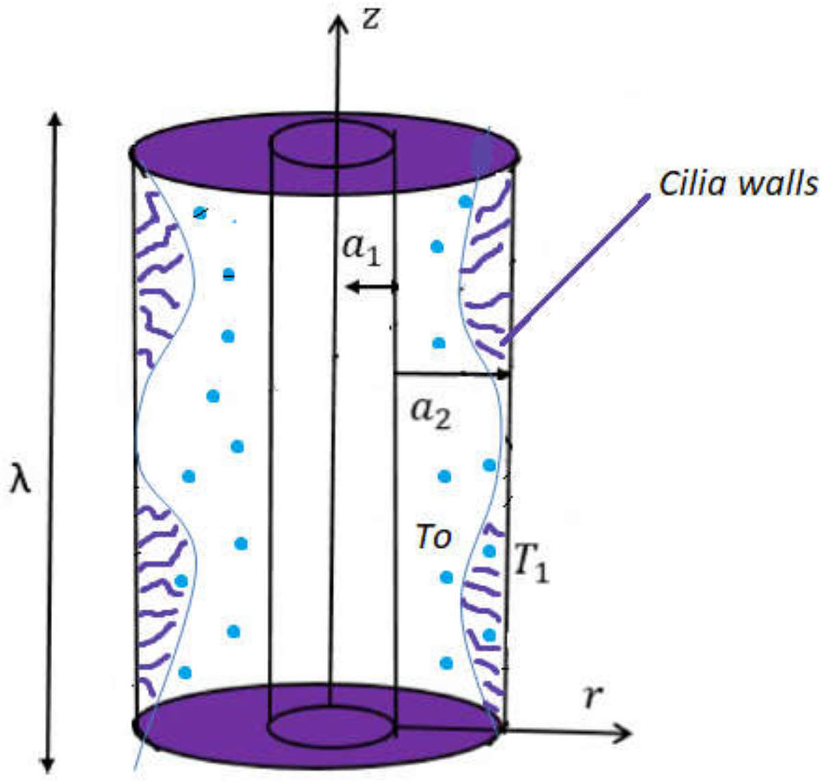 Symmetry 13 02358 g001 550