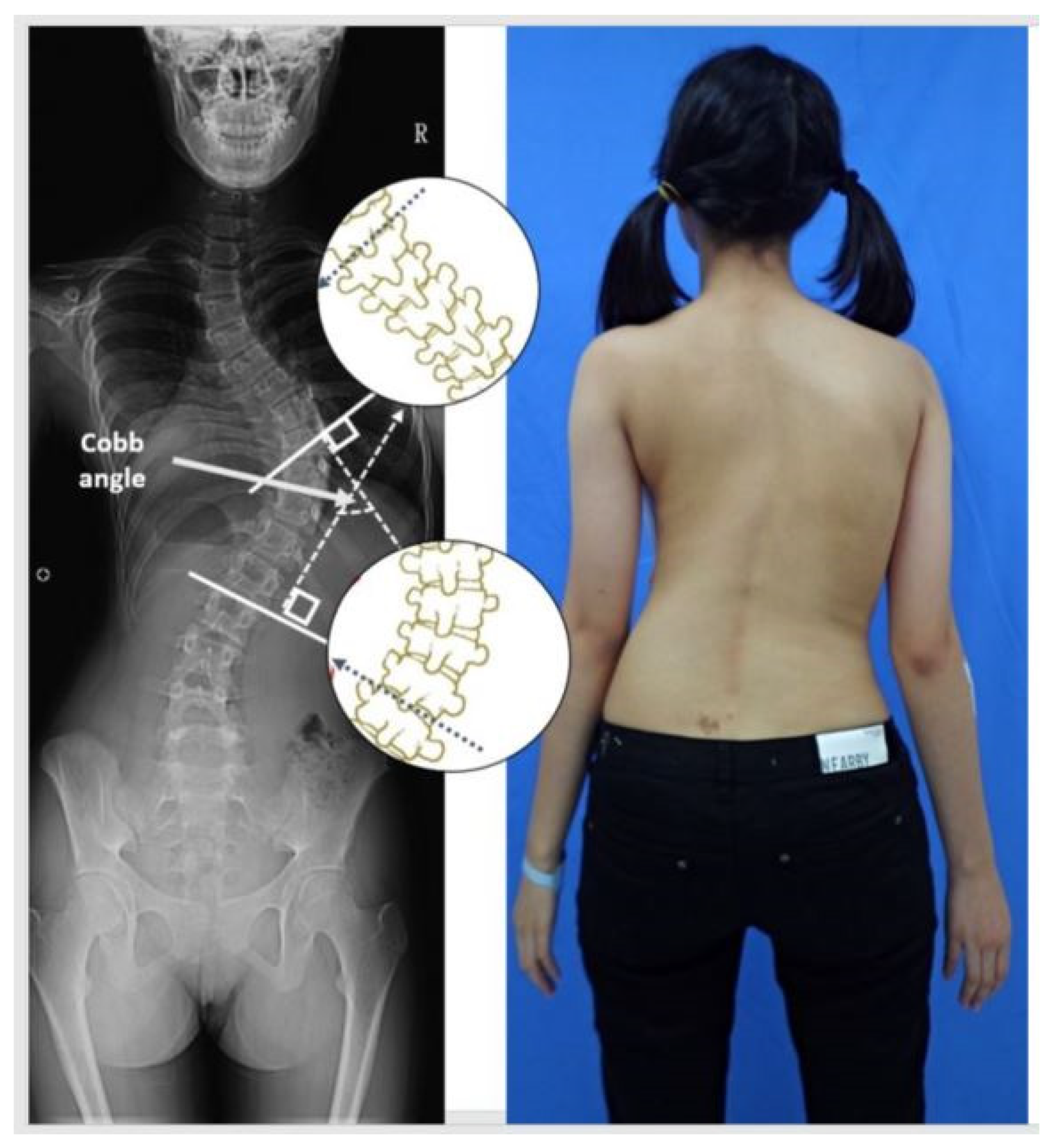 Symmetry 13 02372 g001