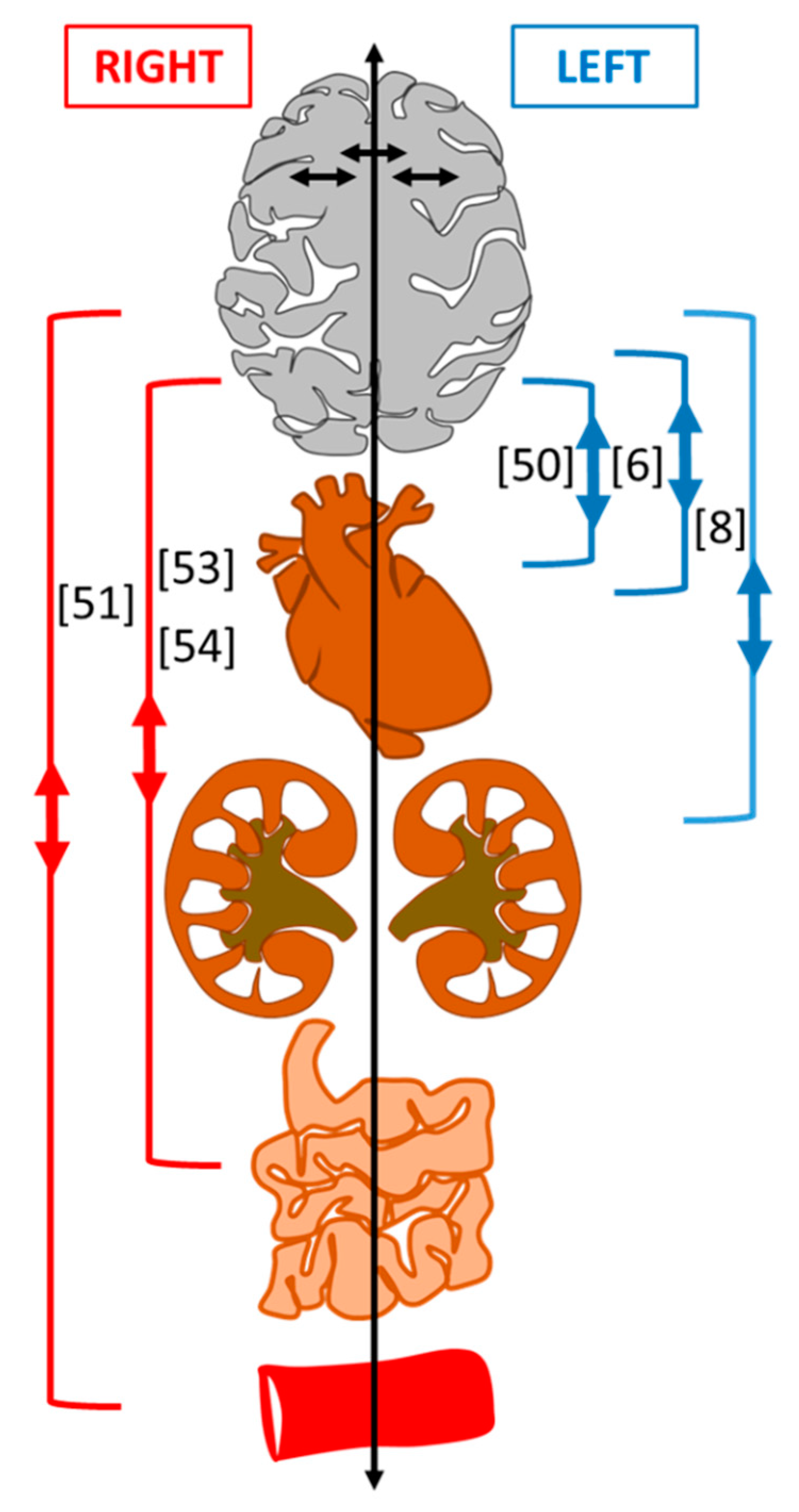Symmetry 13 02409 g001 Symmetry 13 02409 g001