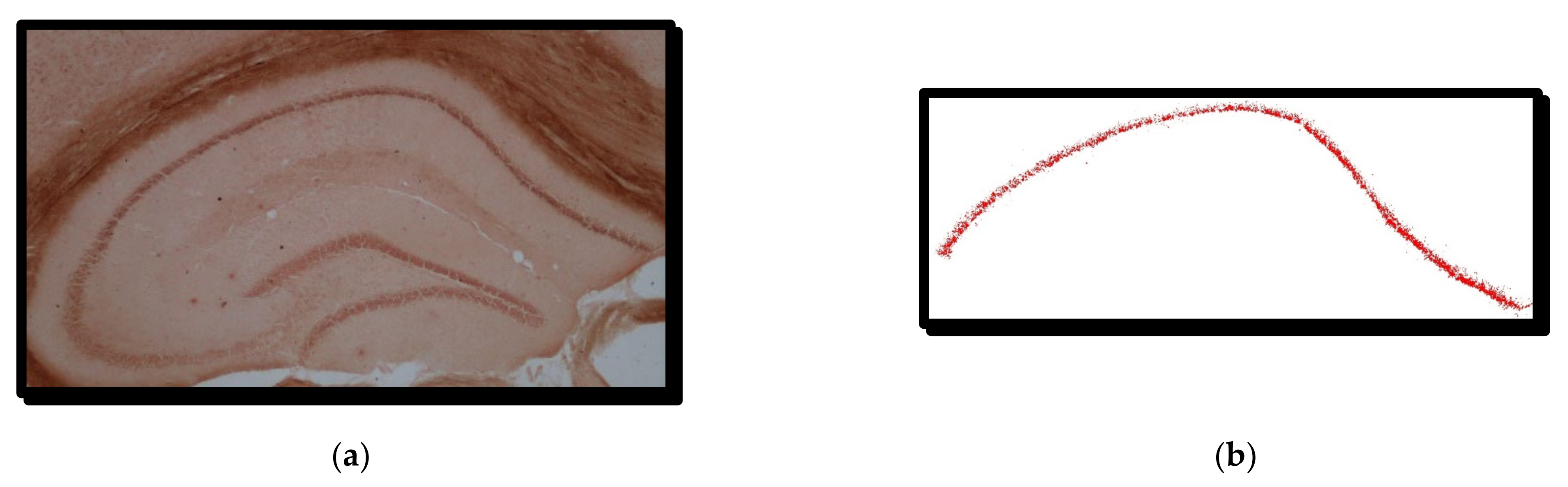 Symmetry 14 00007 g001 550