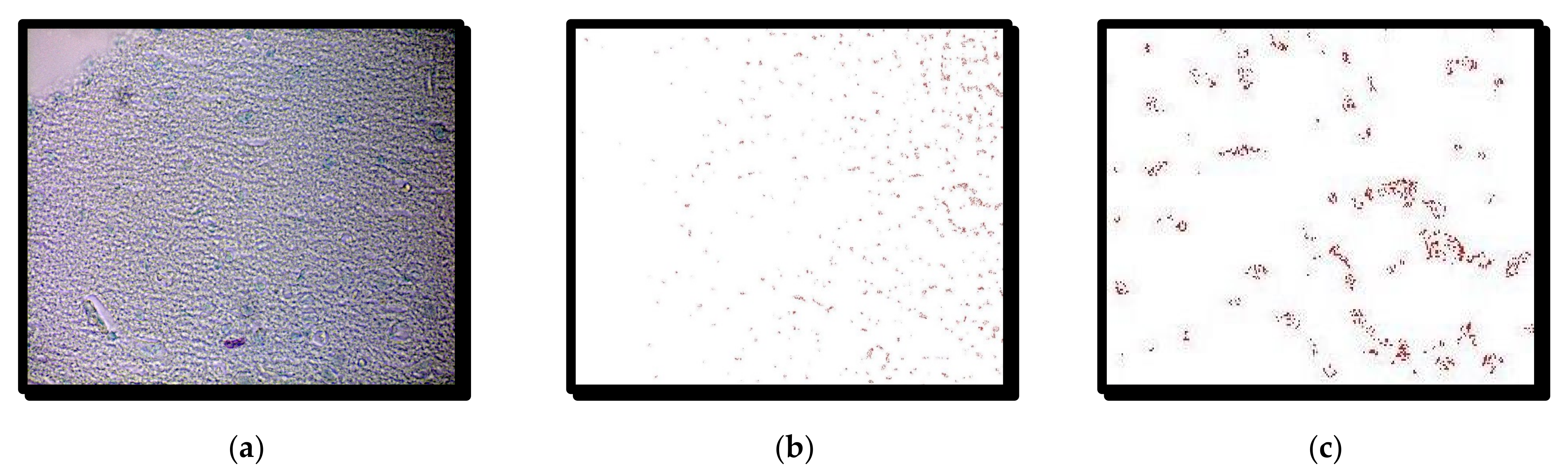 Symmetry 14 00007 g004 550