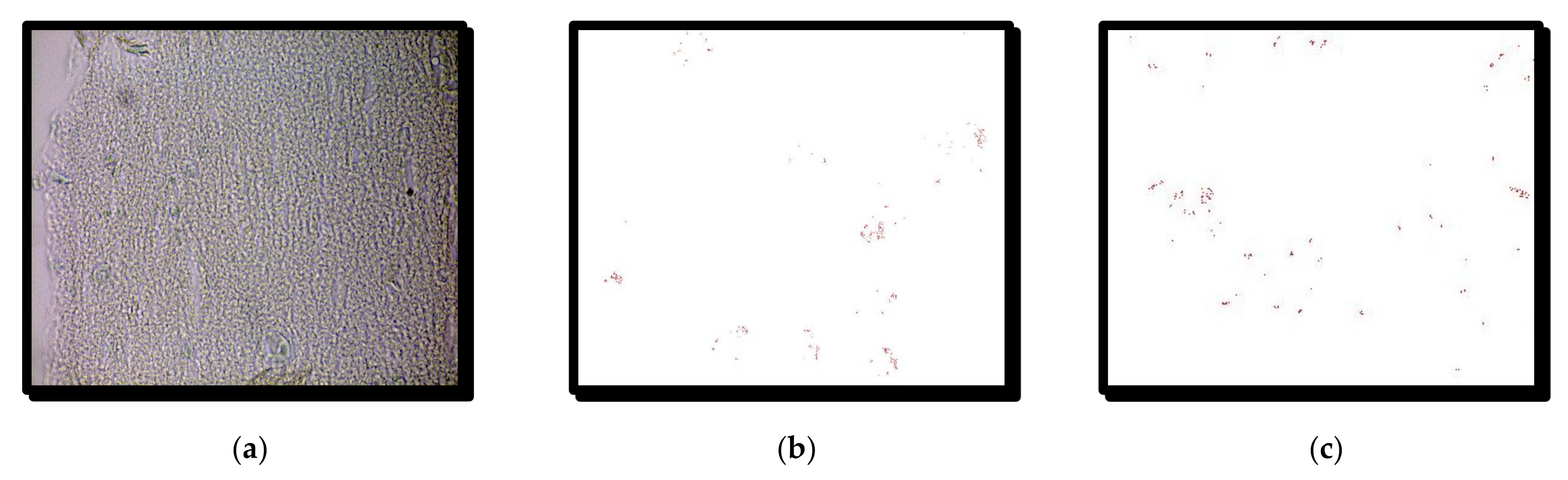 Symmetry 14 00007 g005 550