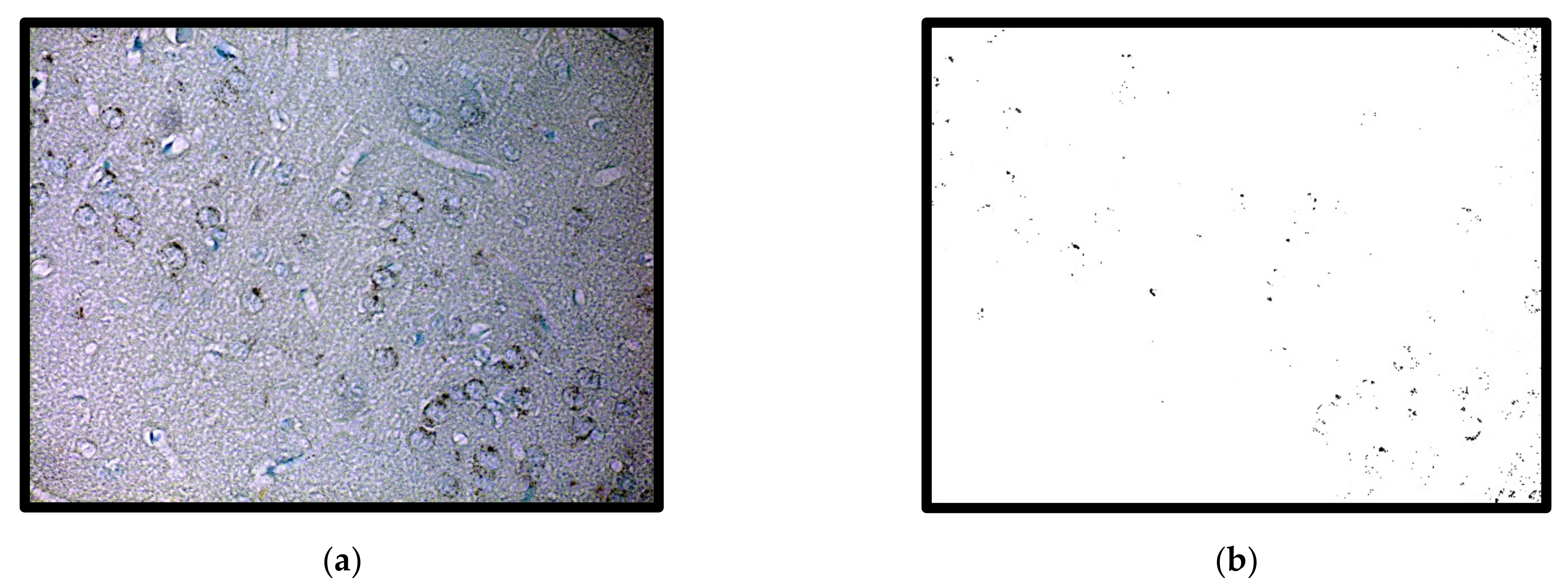 Symmetry 14 00007 g007 550