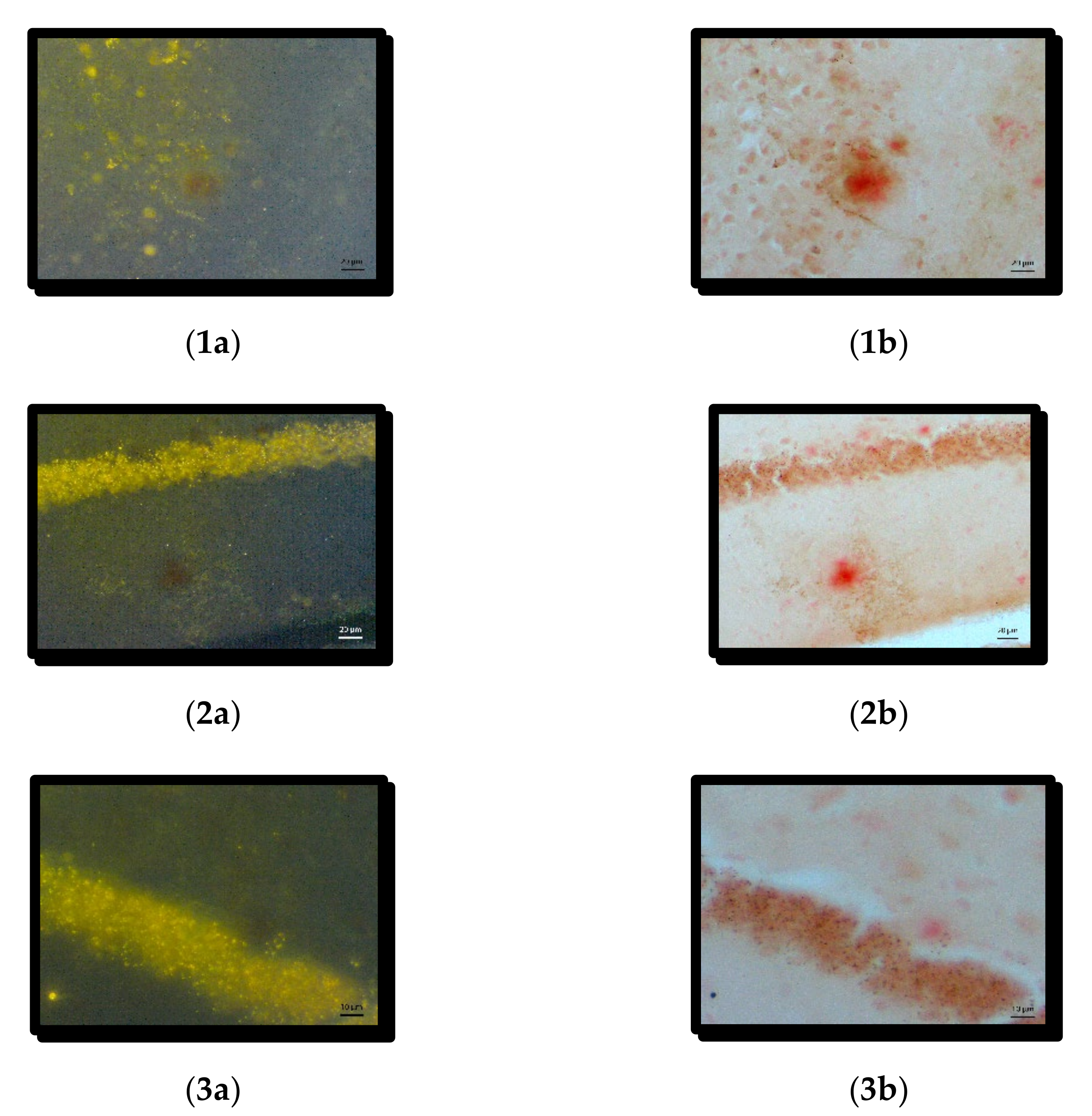 Symmetry 14 00007 g008 550