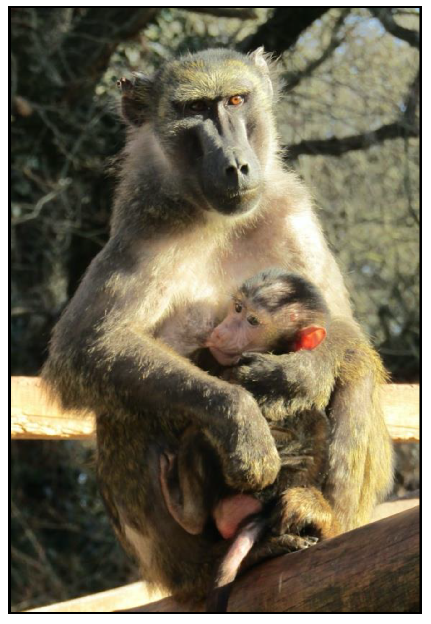 Symmetry 14 00096 g002 Symmetry 14 00096 g002