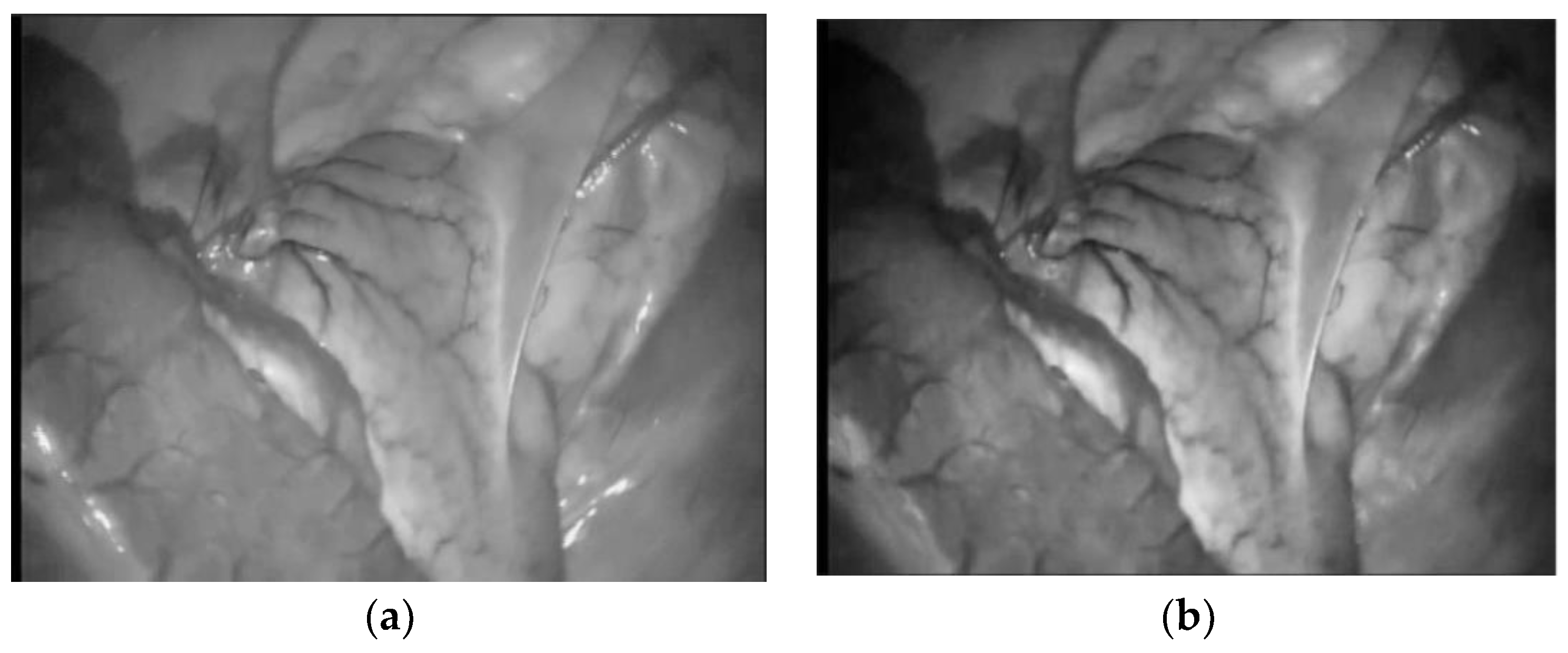 Symmetry 14 00185 g003 550