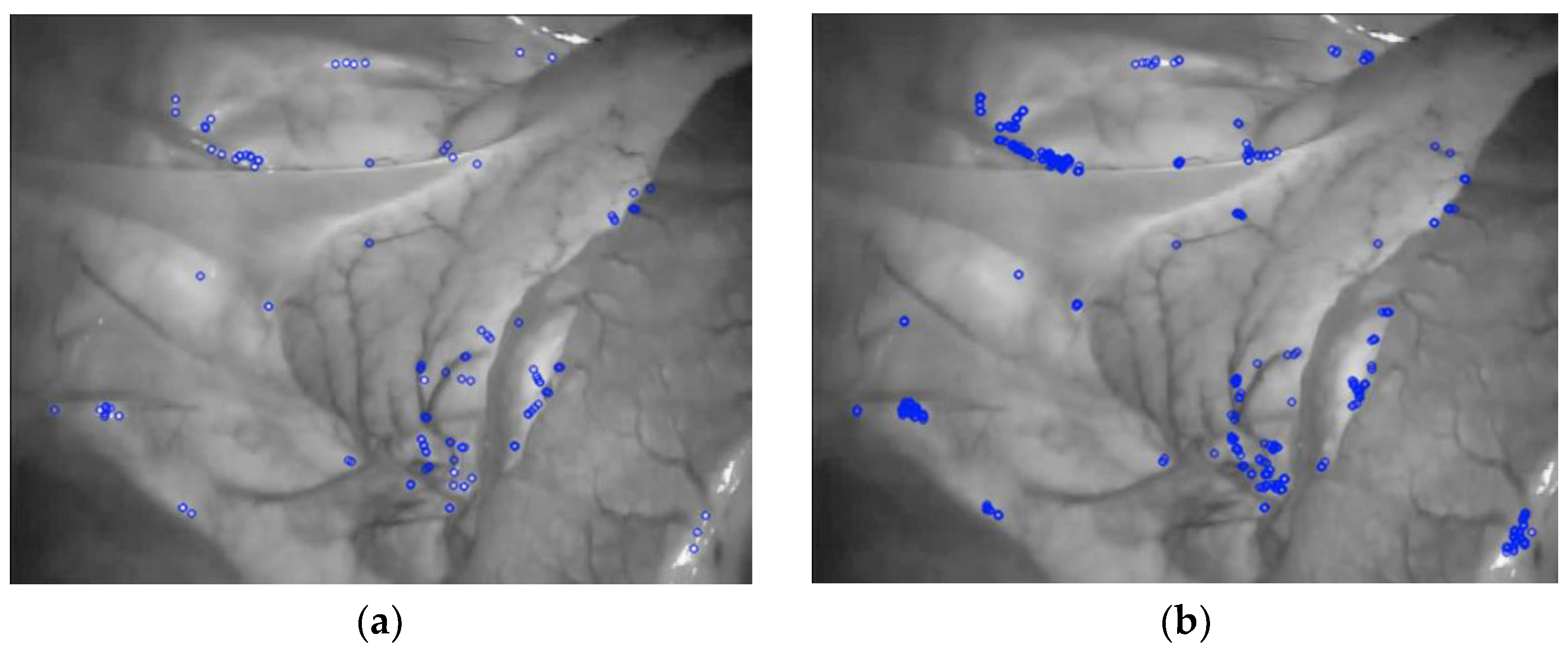Symmetry 14 00185 g004 550
