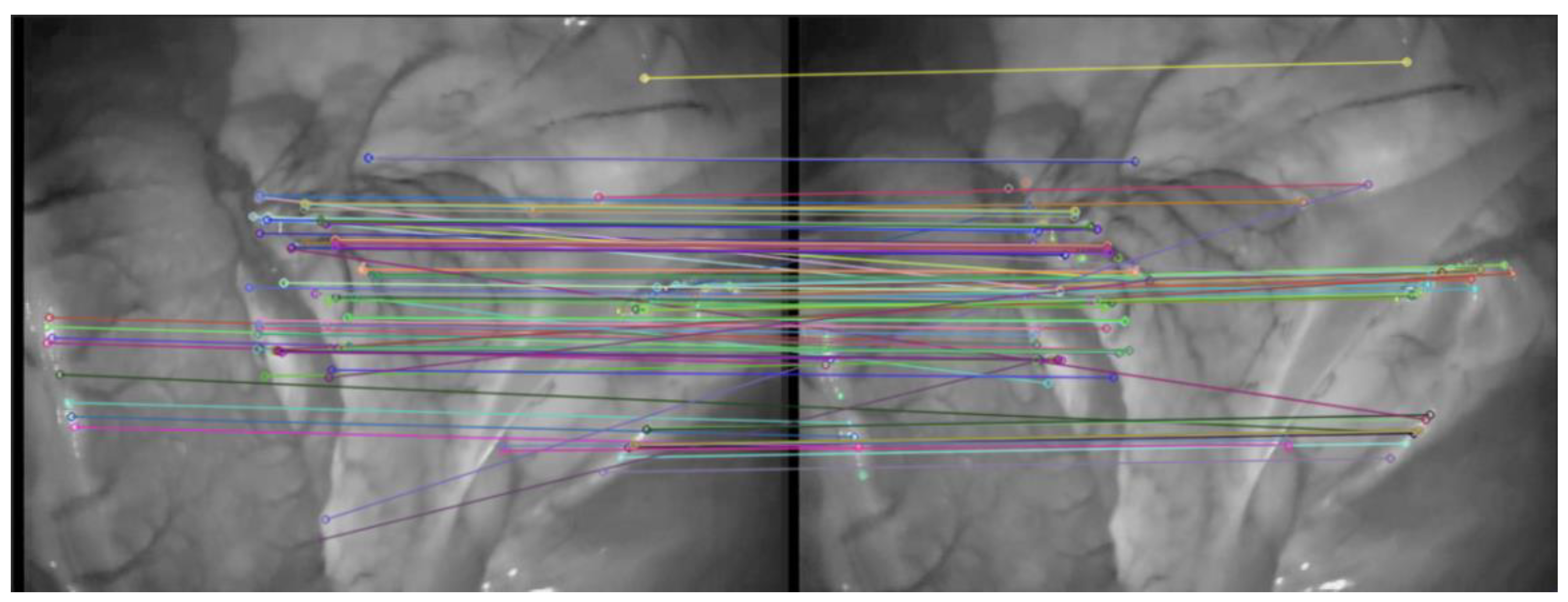 Symmetry 14 00185 g005 550
