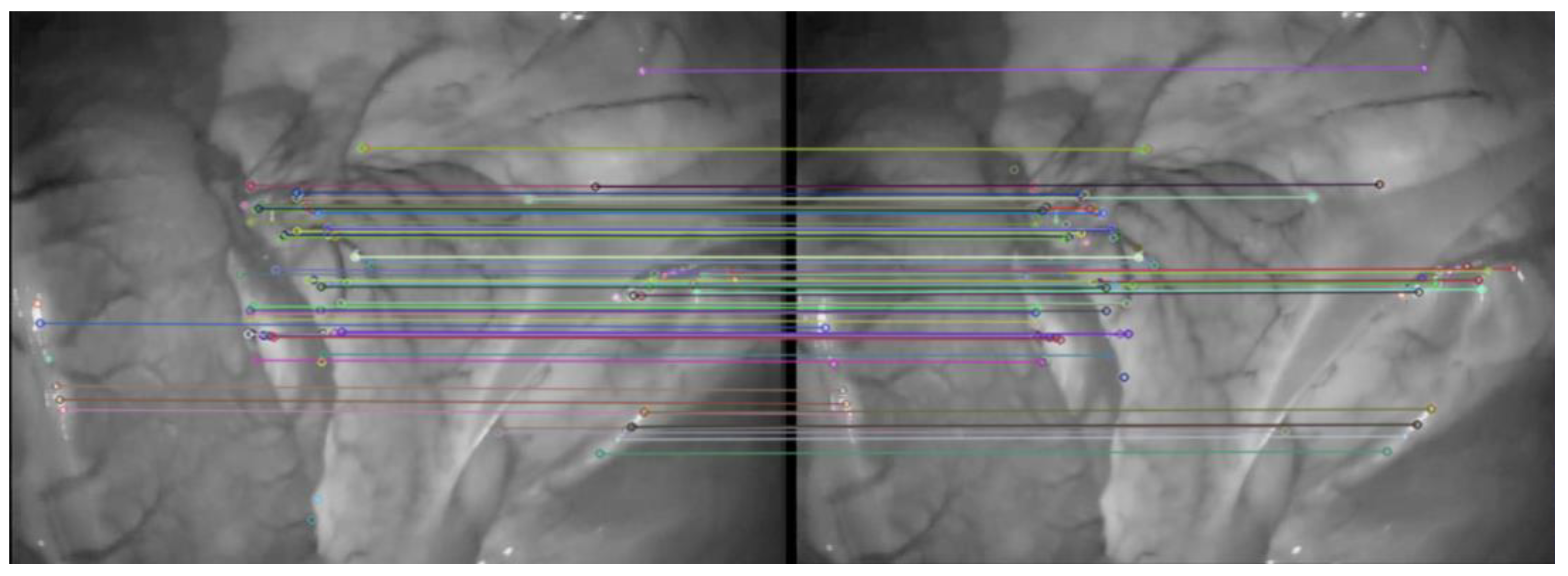 Symmetry 14 00185 g006 550