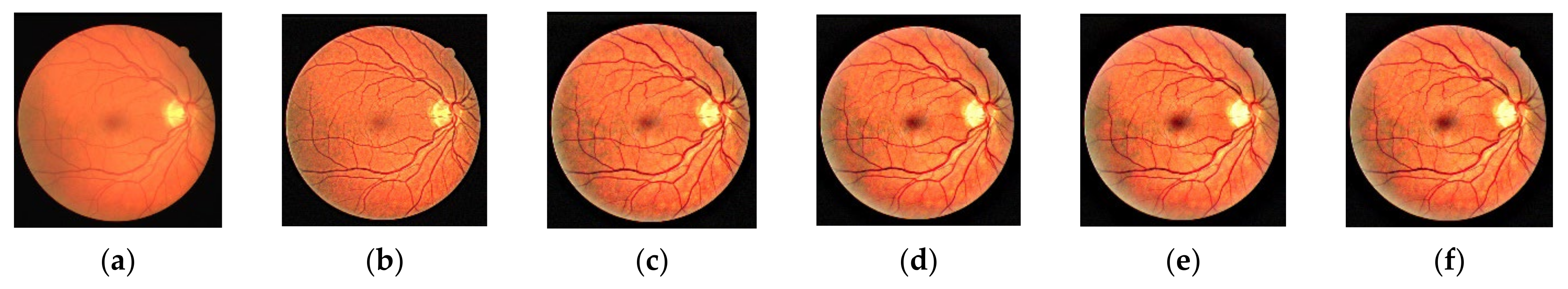 Symmetry 14 00194 g002