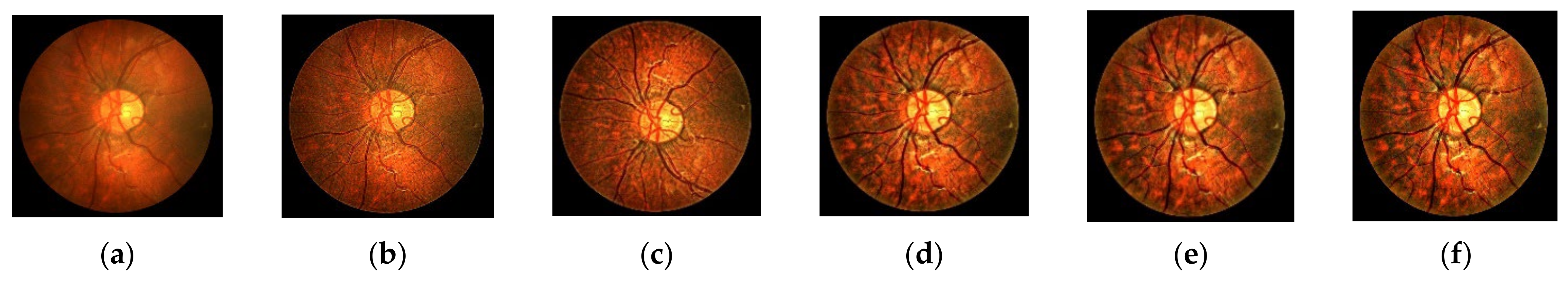 Symmetry 14 00194 g003