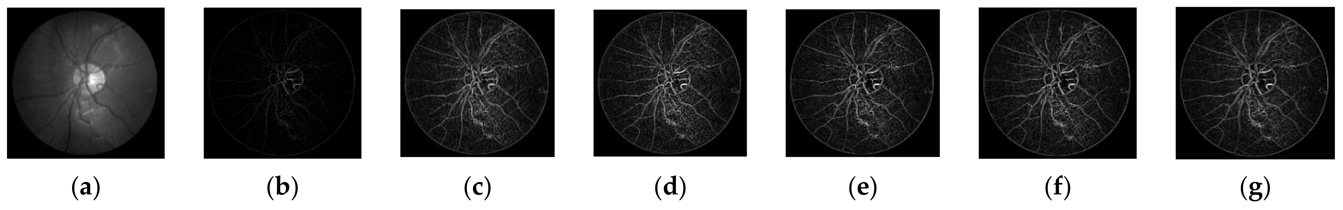Symmetry 14 00194 g005