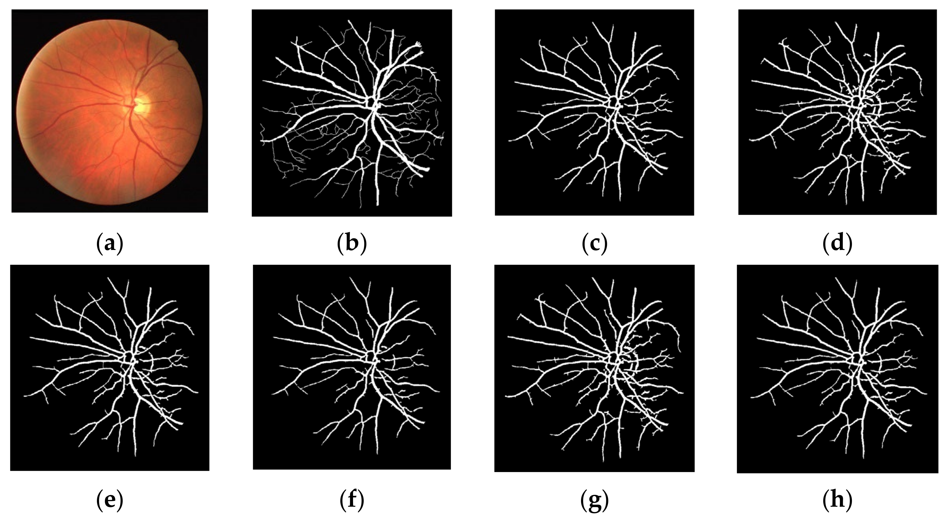 Symmetry 14 00194 g007