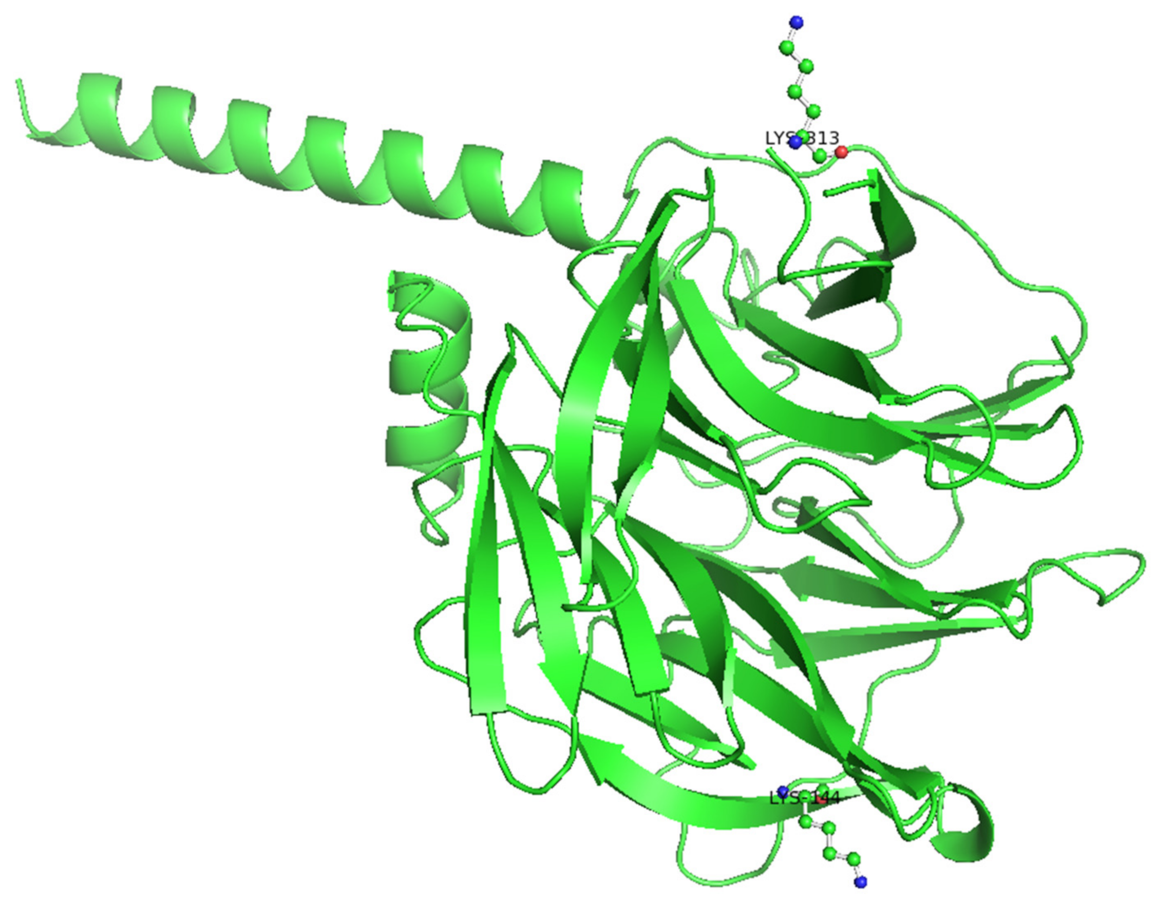 Symmetry 14 00212 g001 550
