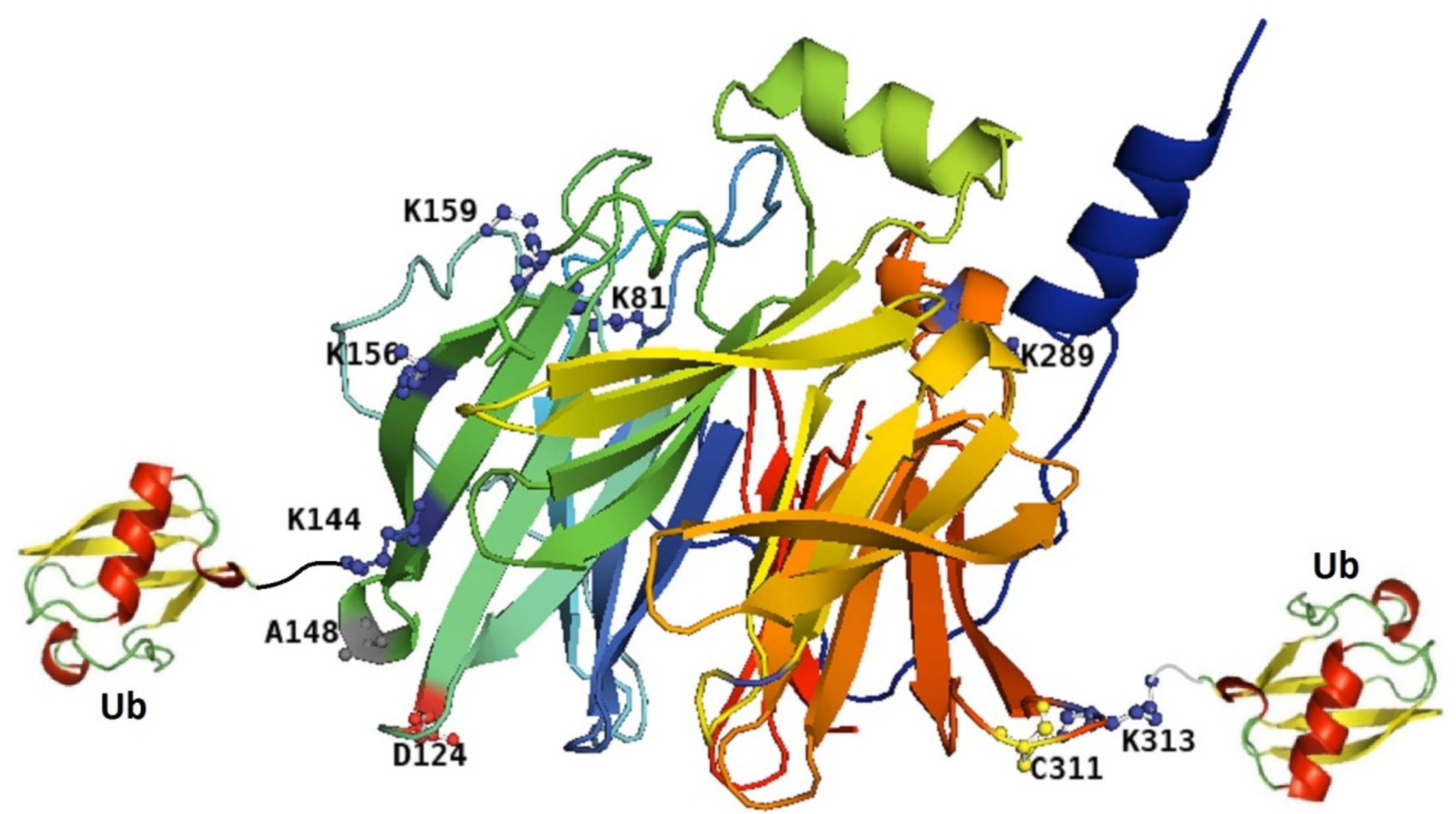 Symmetry 14 00212 g002 550