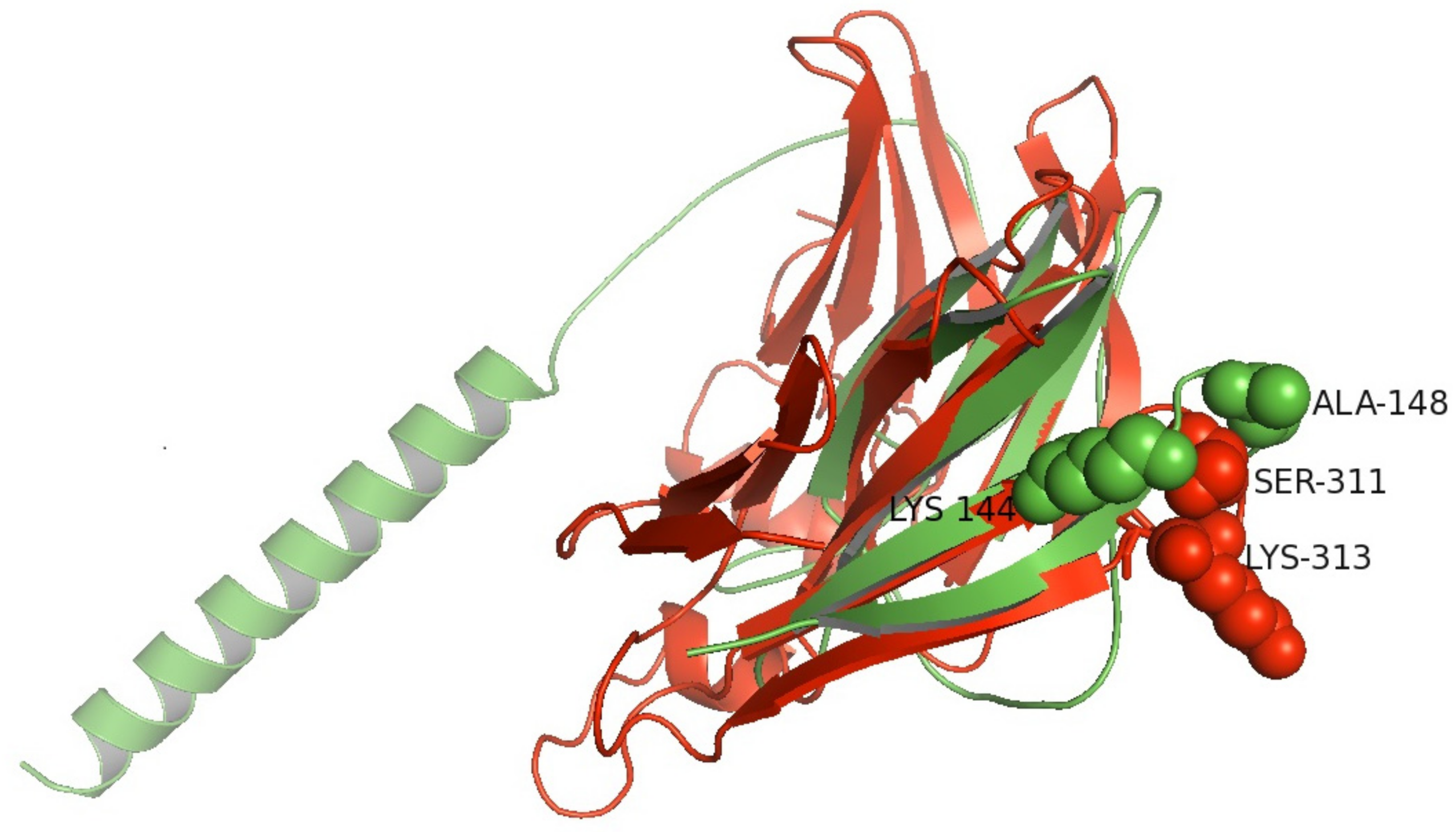 Symmetry 14 00212 g004 550