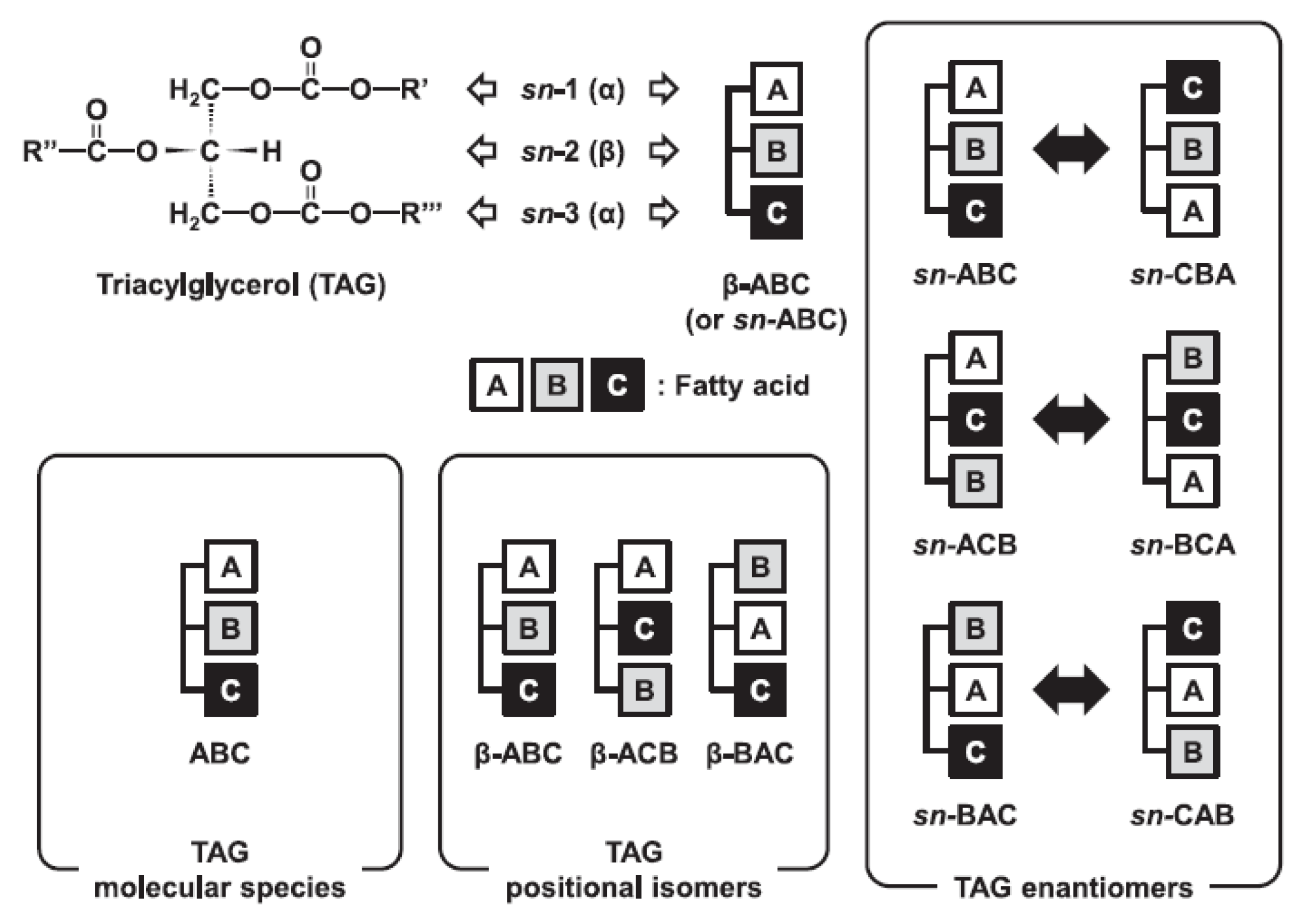 Symmetry 14 00247 g002 Symmetry 14 00247 g002
