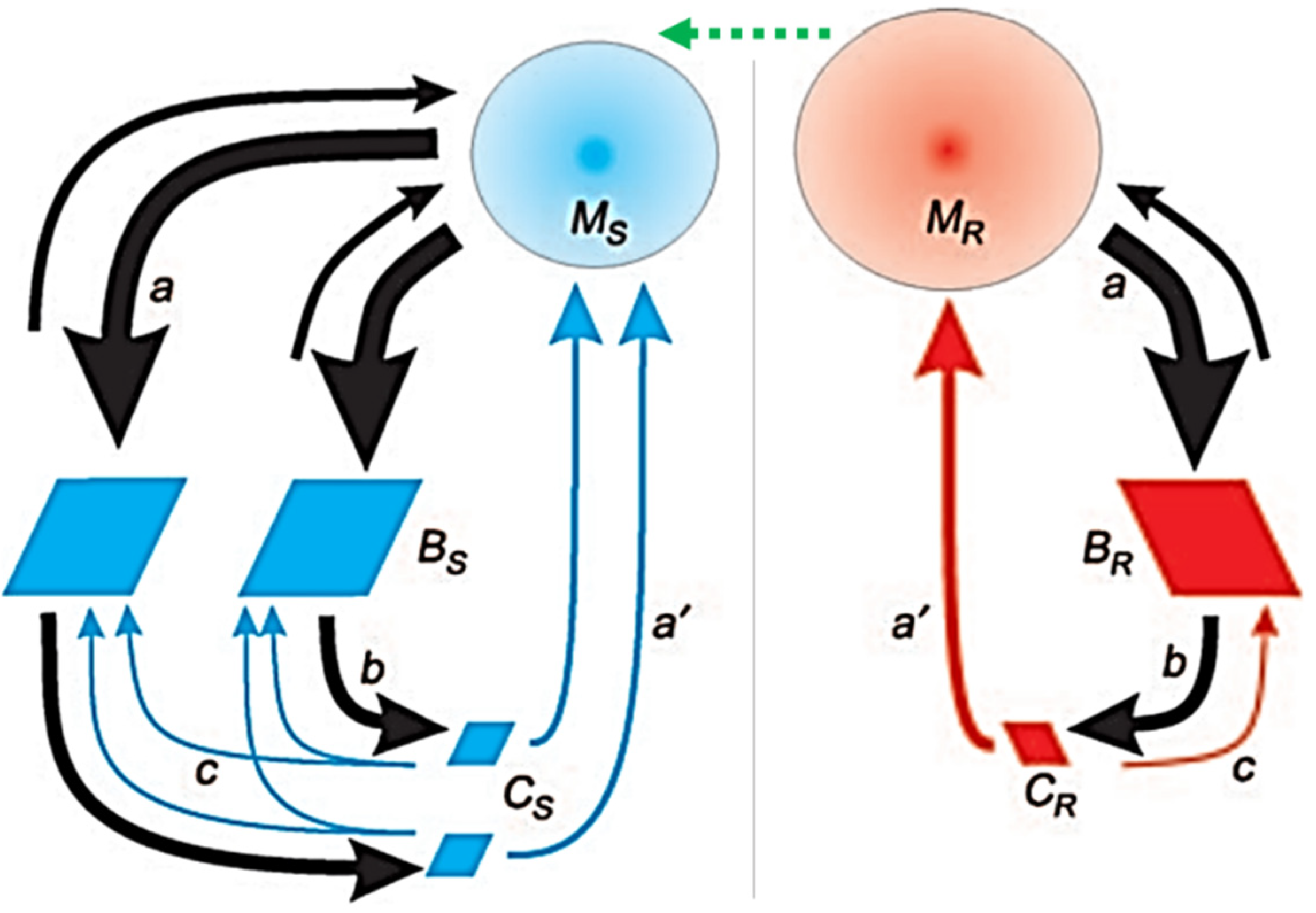 Symmetry 14 00292 g008