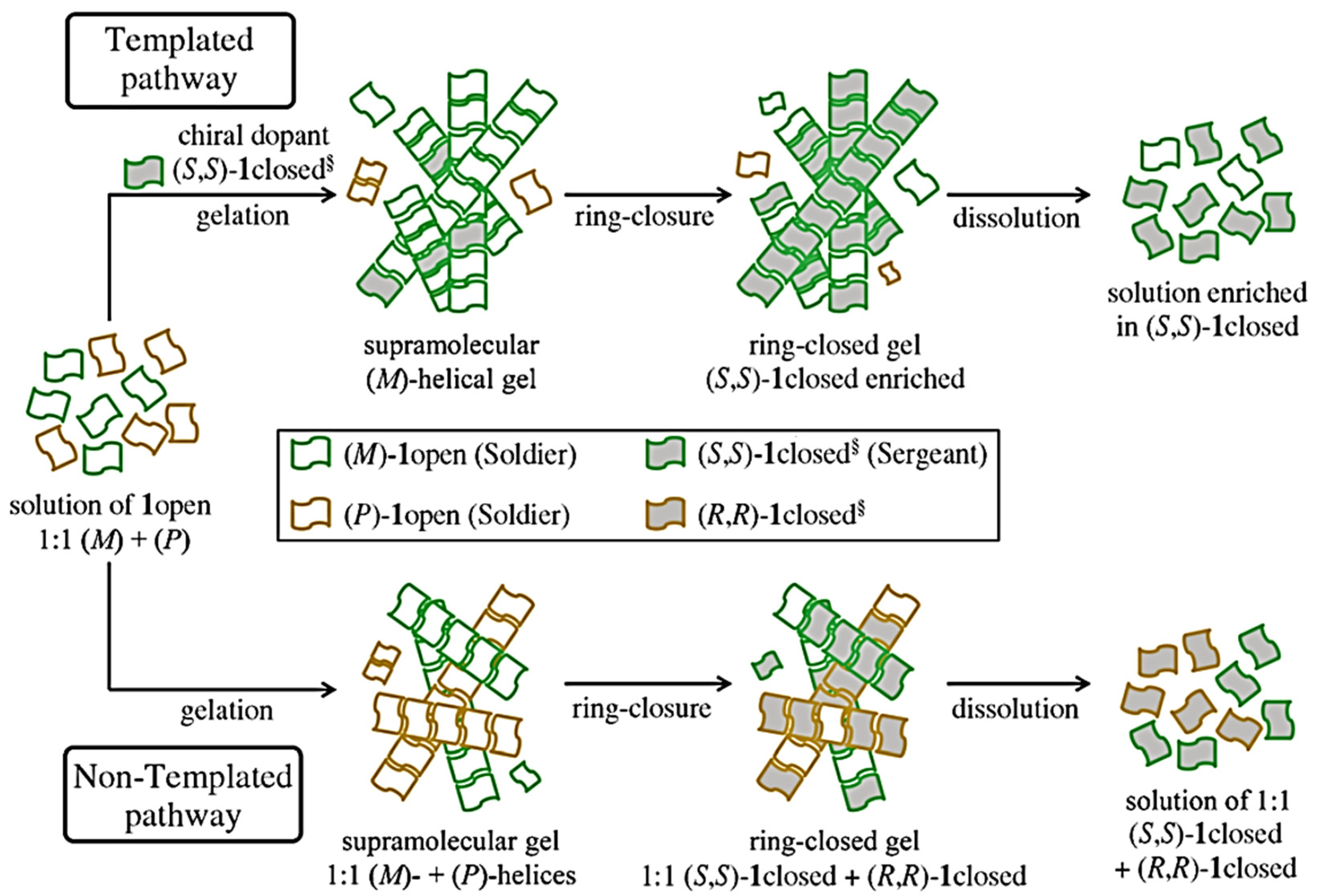 Symmetry 14 00292 g010